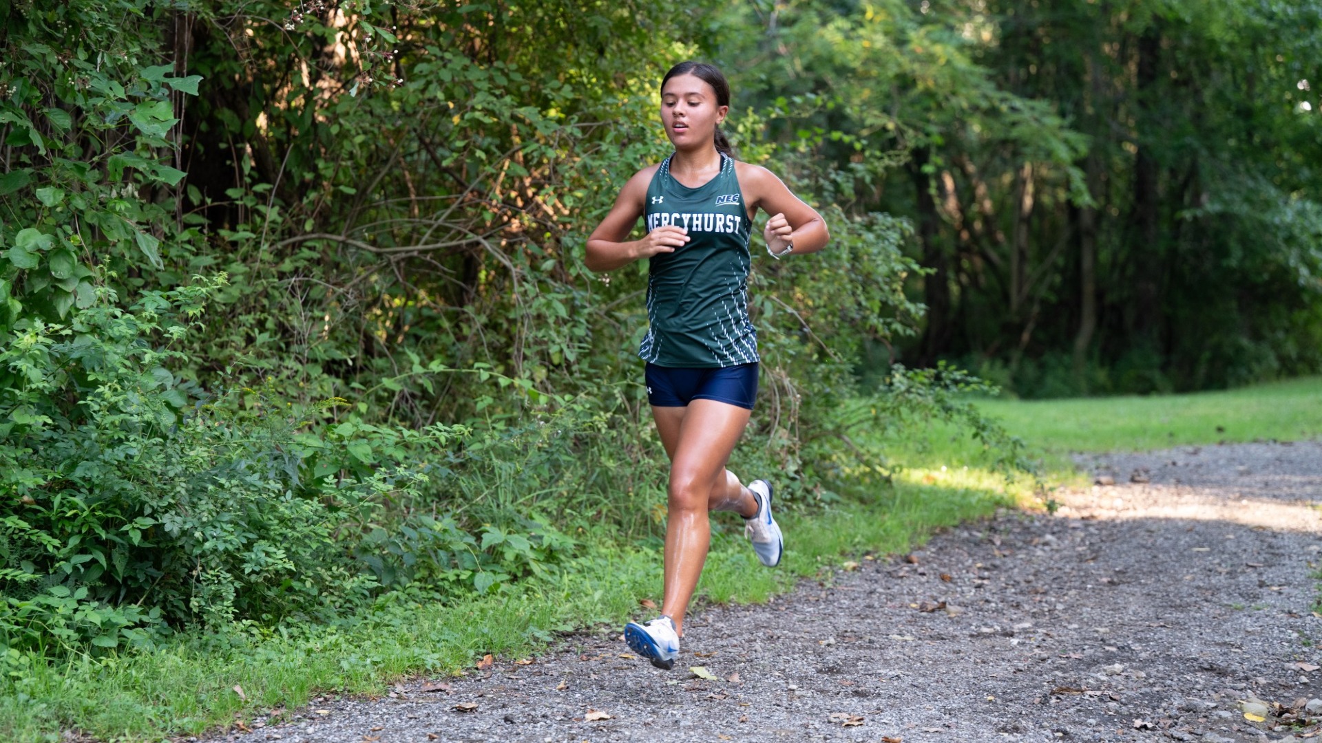 Rowan Xc