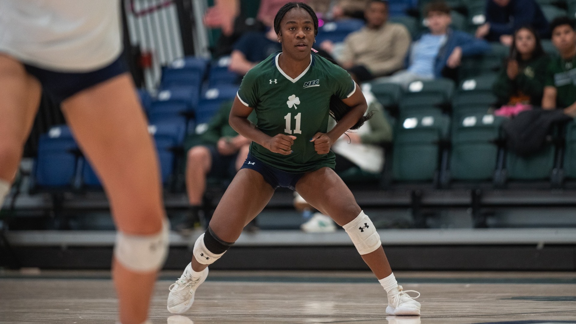 Kelsie VB