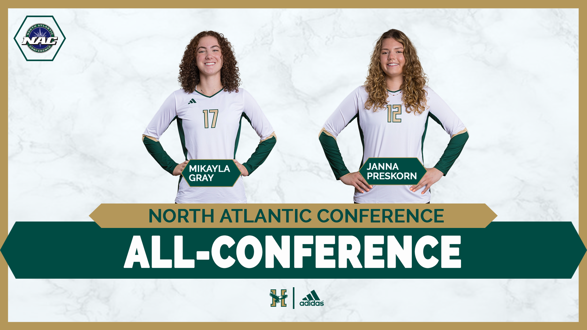 Volleyball All-Conference Graphic