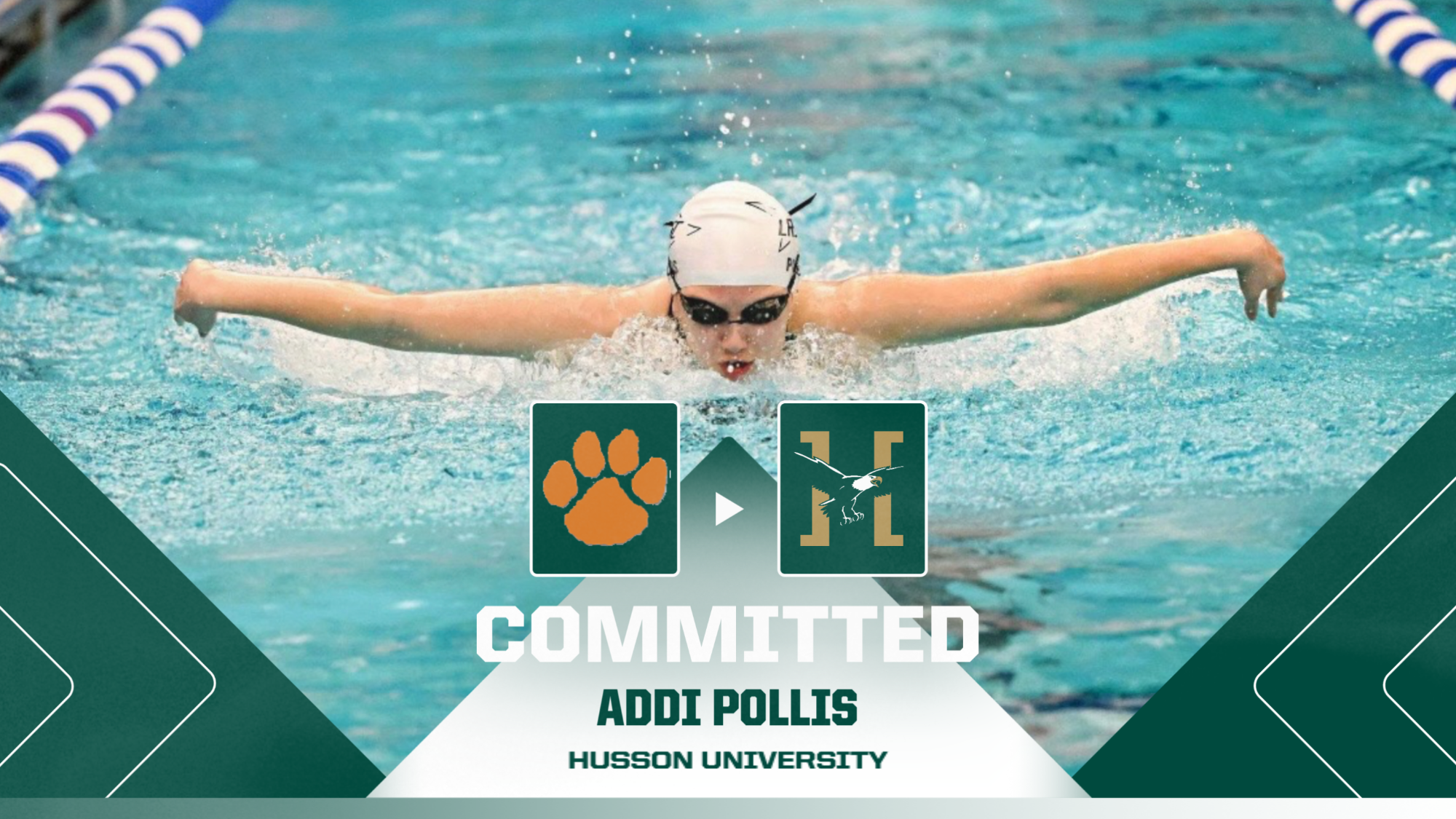 Addi Pollis Commitment Graphic