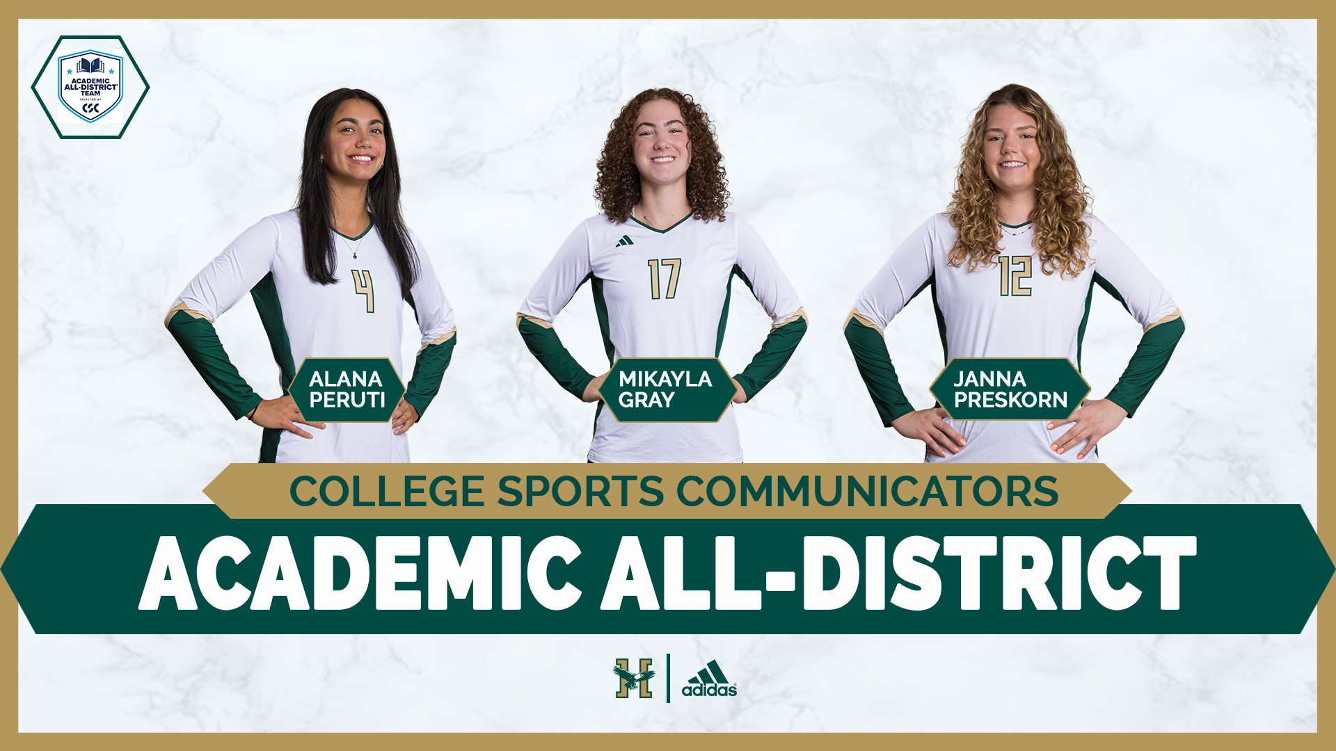Volleyball CSC Academic All-District Graphic