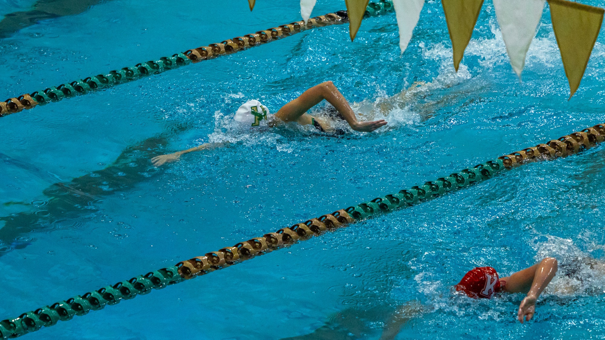 Sara Harriman Women's Swimming & Diving 11-15-25