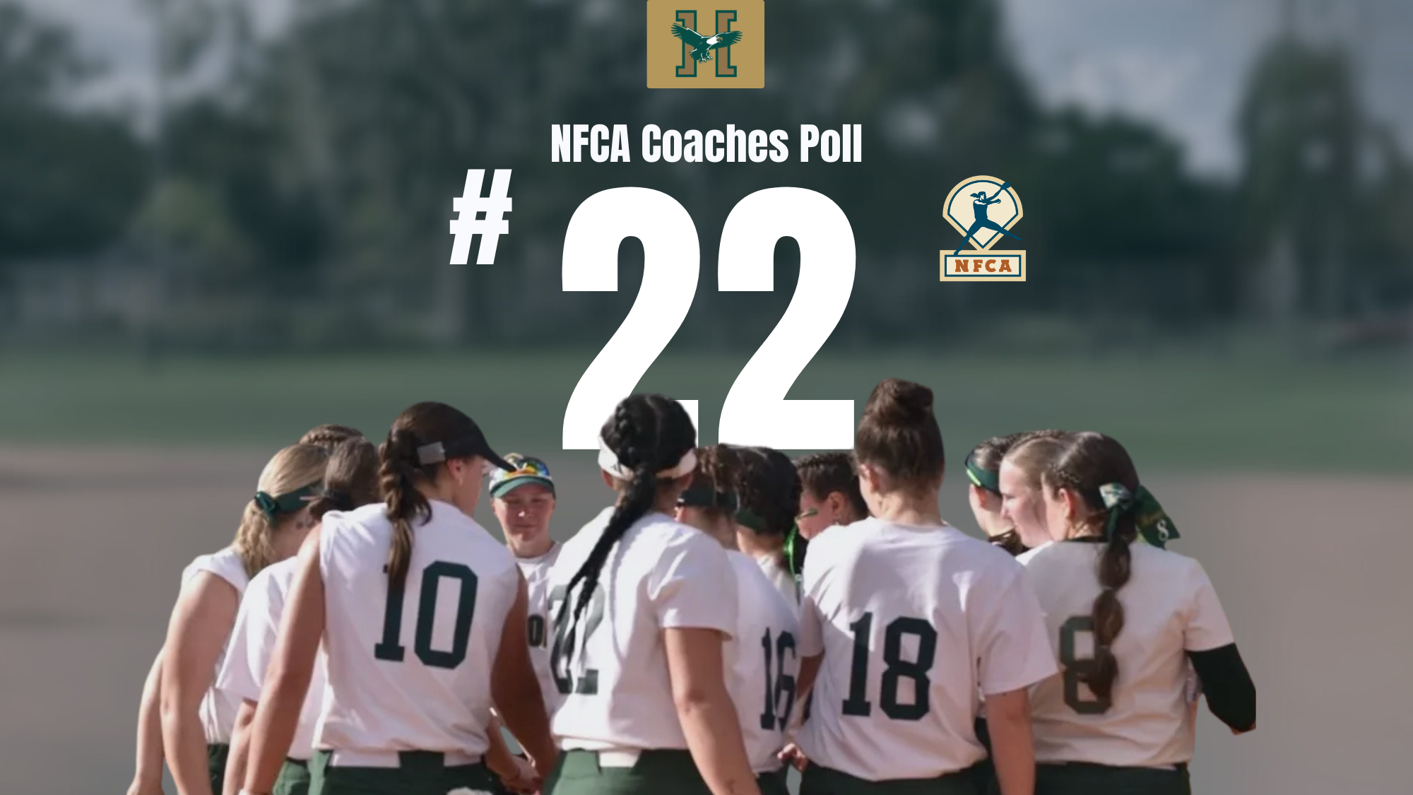 Softball NFCA Coaches Poll Graphic