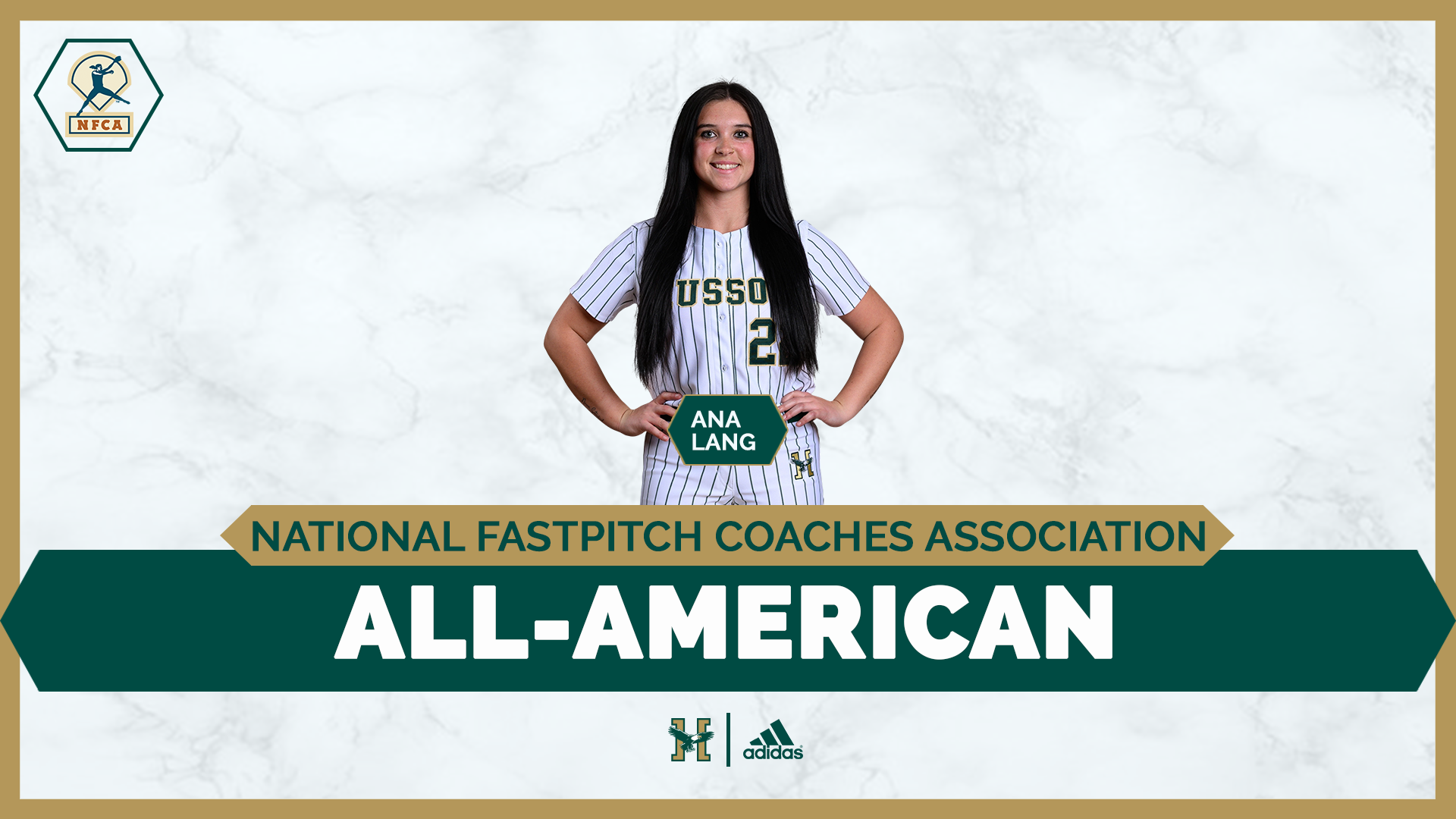 Softball NFCA All-American Graphic