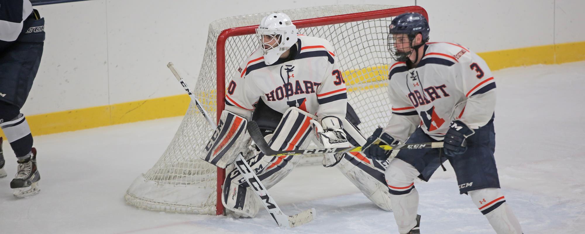 Tim Sestak 201617 Hobart Ice Hockey Hobart and William Smith