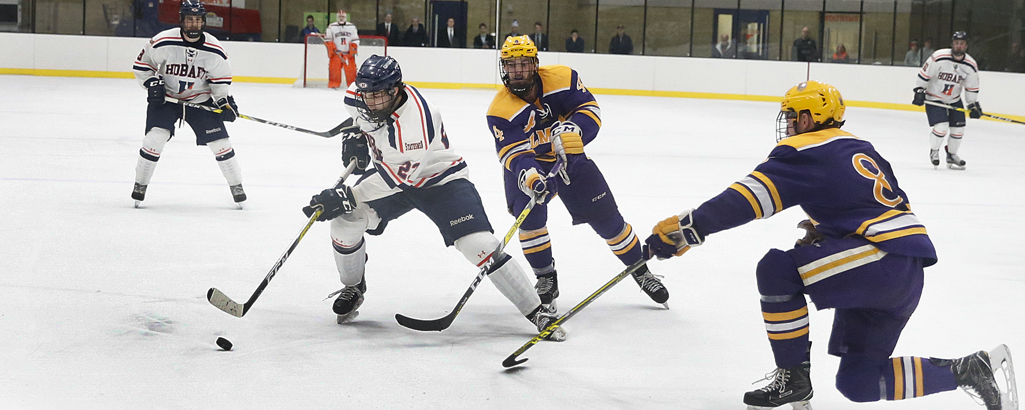 Tyler Hanzlik 201617 Hobart Ice Hockey Hobart and William Smith