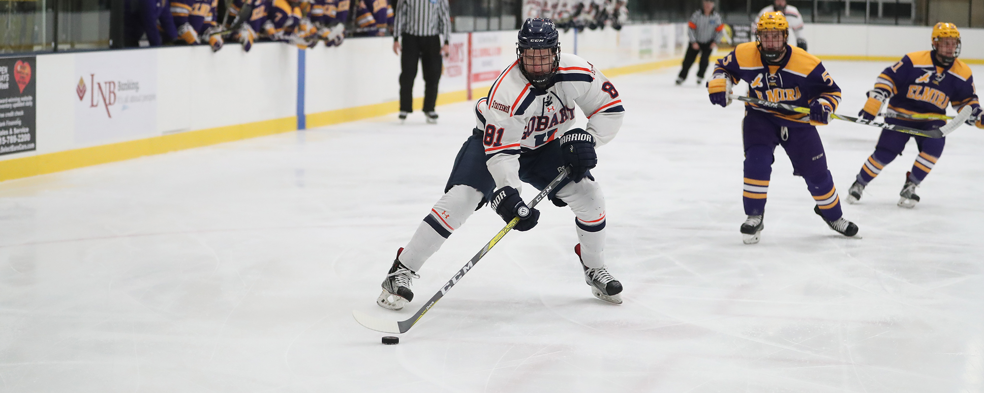 Ben Greiner 201718 Hobart Ice Hockey Hobart and William Smith