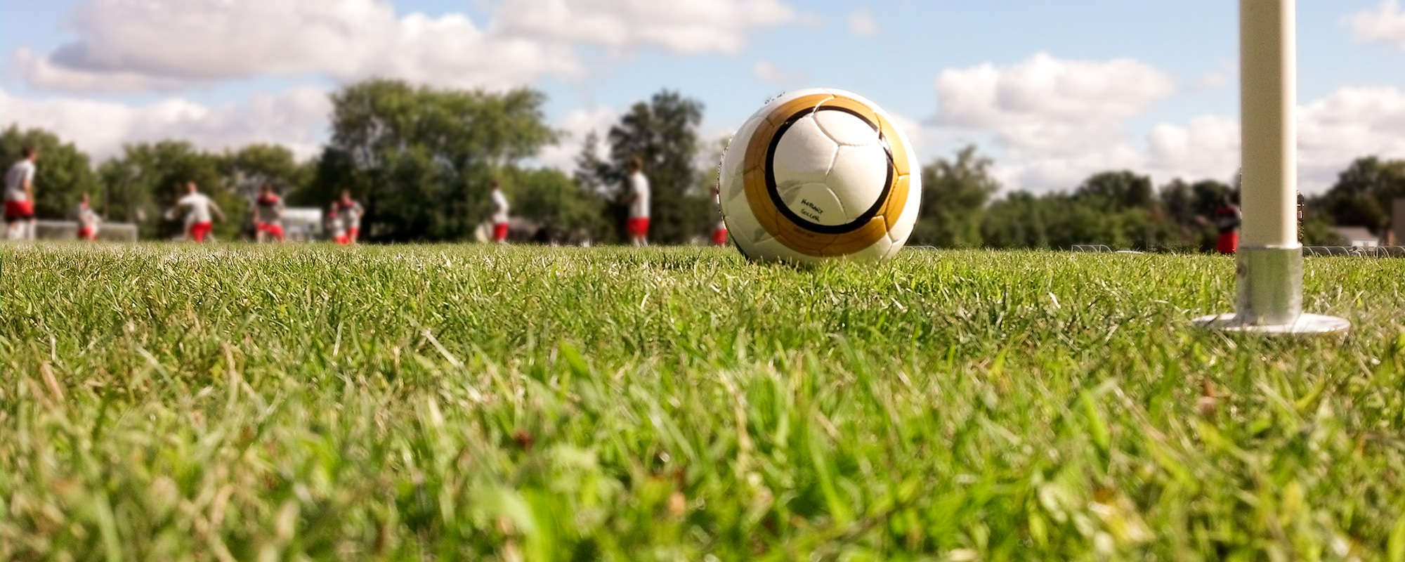 Stephen Combs 2020 Hobart Soccer Hobart and William Smith