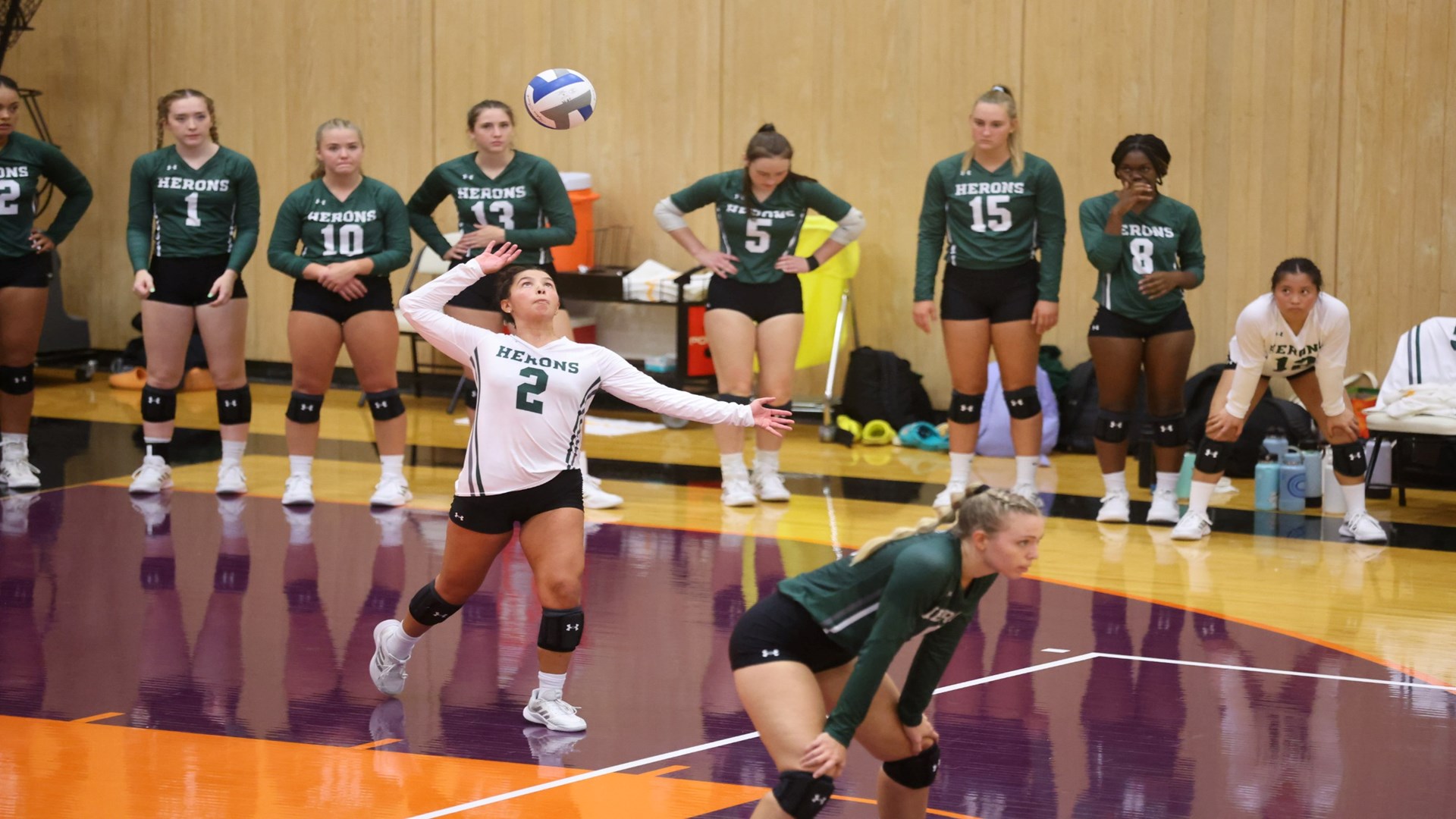 Ariana Angus 2022 William Smith Volleyball Hobart and William