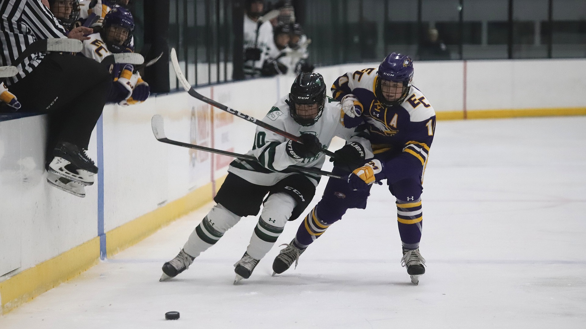 Mackenzie O'Neil 202223 William Smith Ice Hockey Hobart and William Smith College Athletics