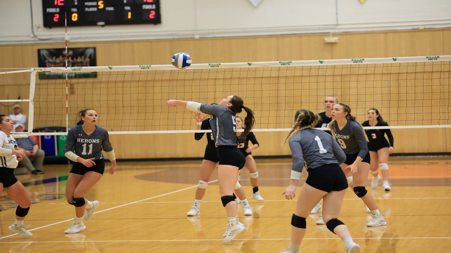 Paige Madison 2023 William Smith Volleyball Hobart and William