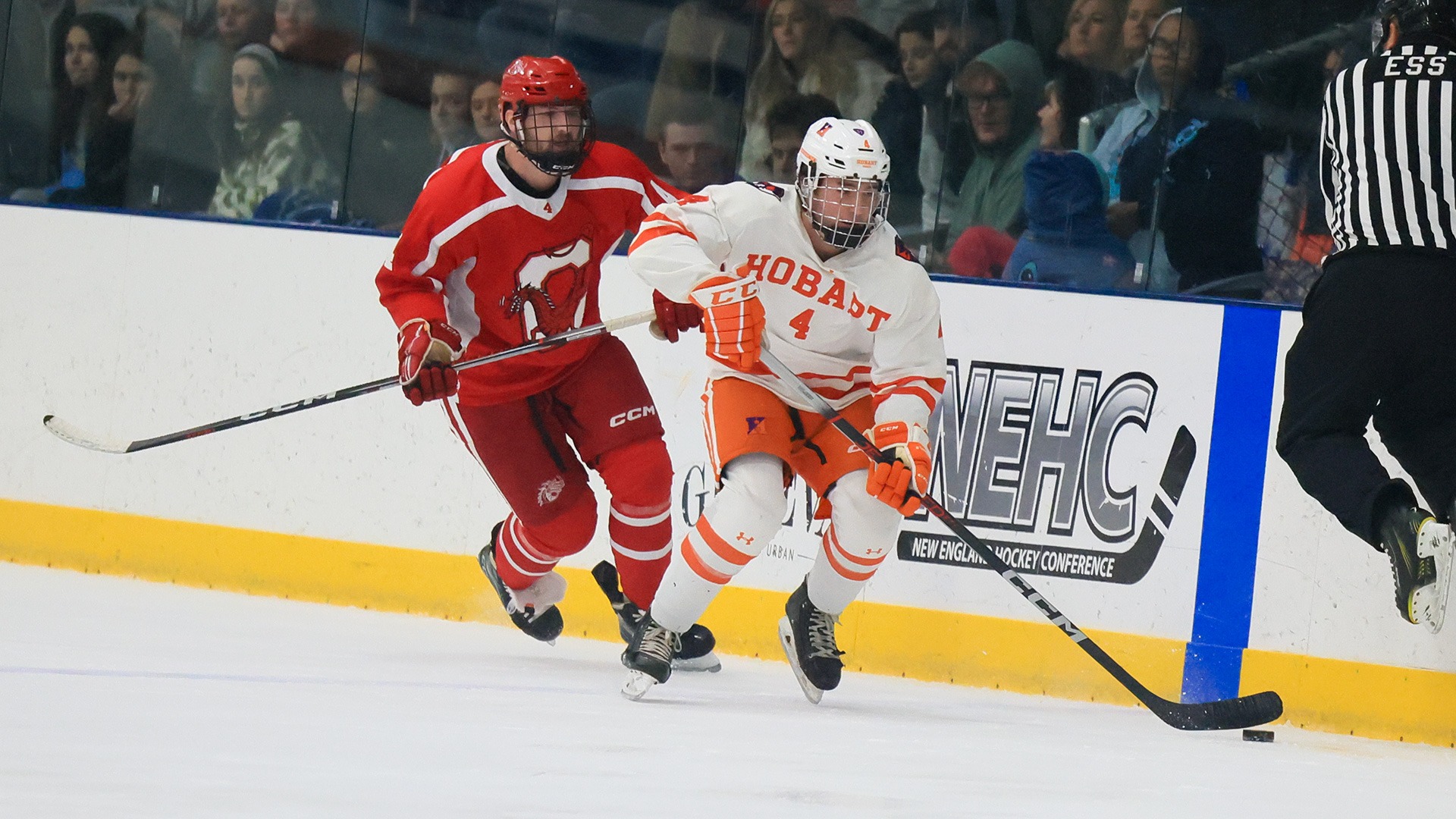 Bauer Morrissey 202324 Hobart Ice Hockey Hobart and William