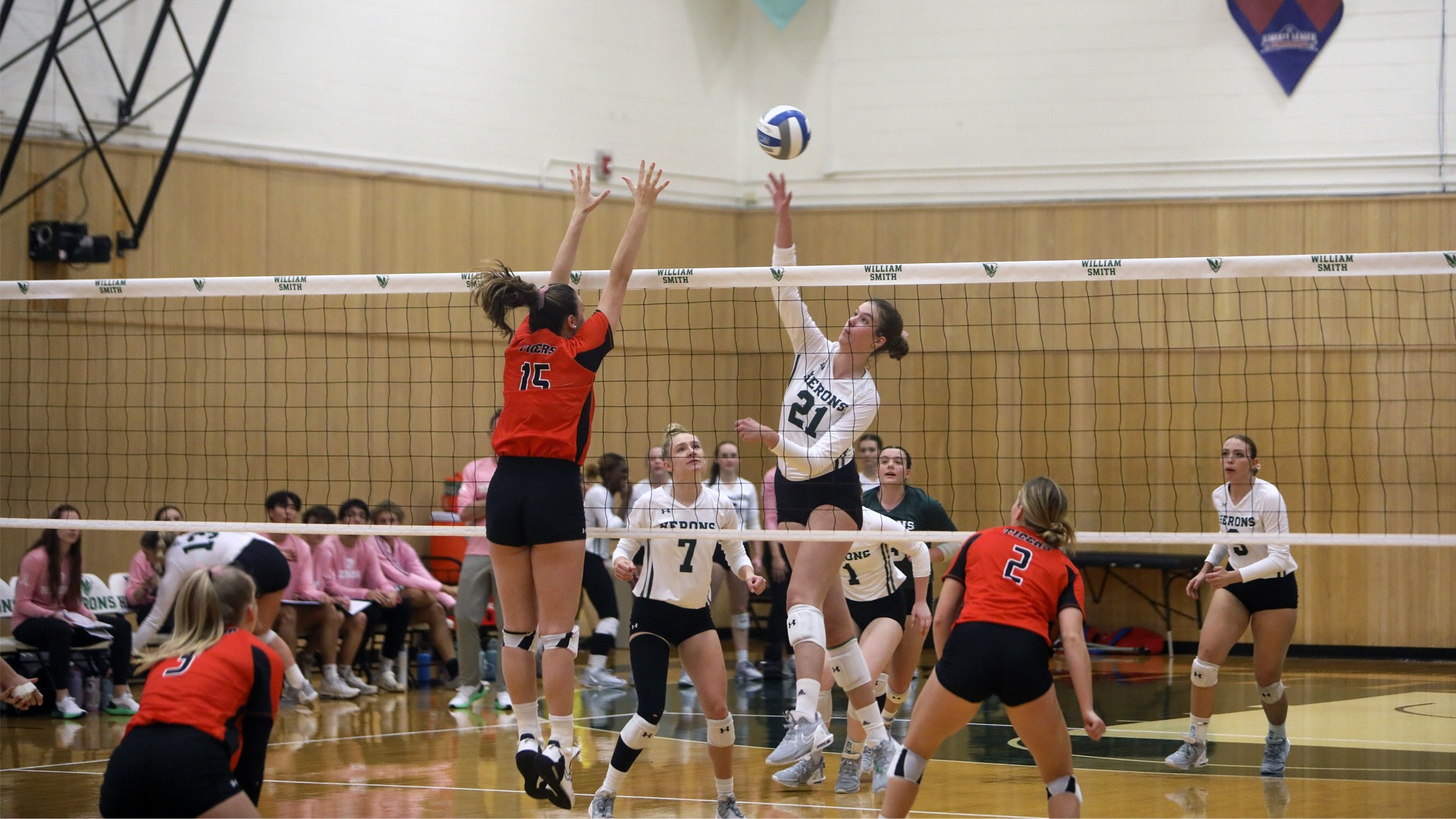 Lindsay Umlauf 2024 William Smith Volleyball Hobart and William