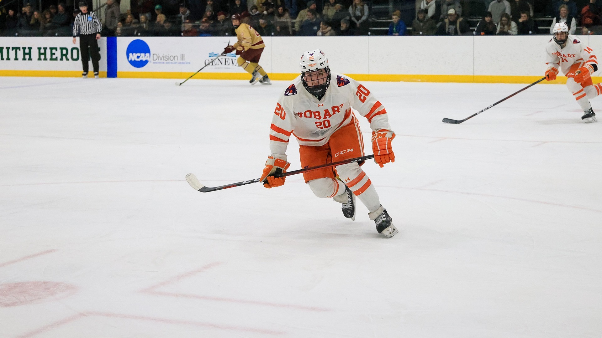 Shane Shell 202324 Hobart Ice Hockey Hobart and William Smith