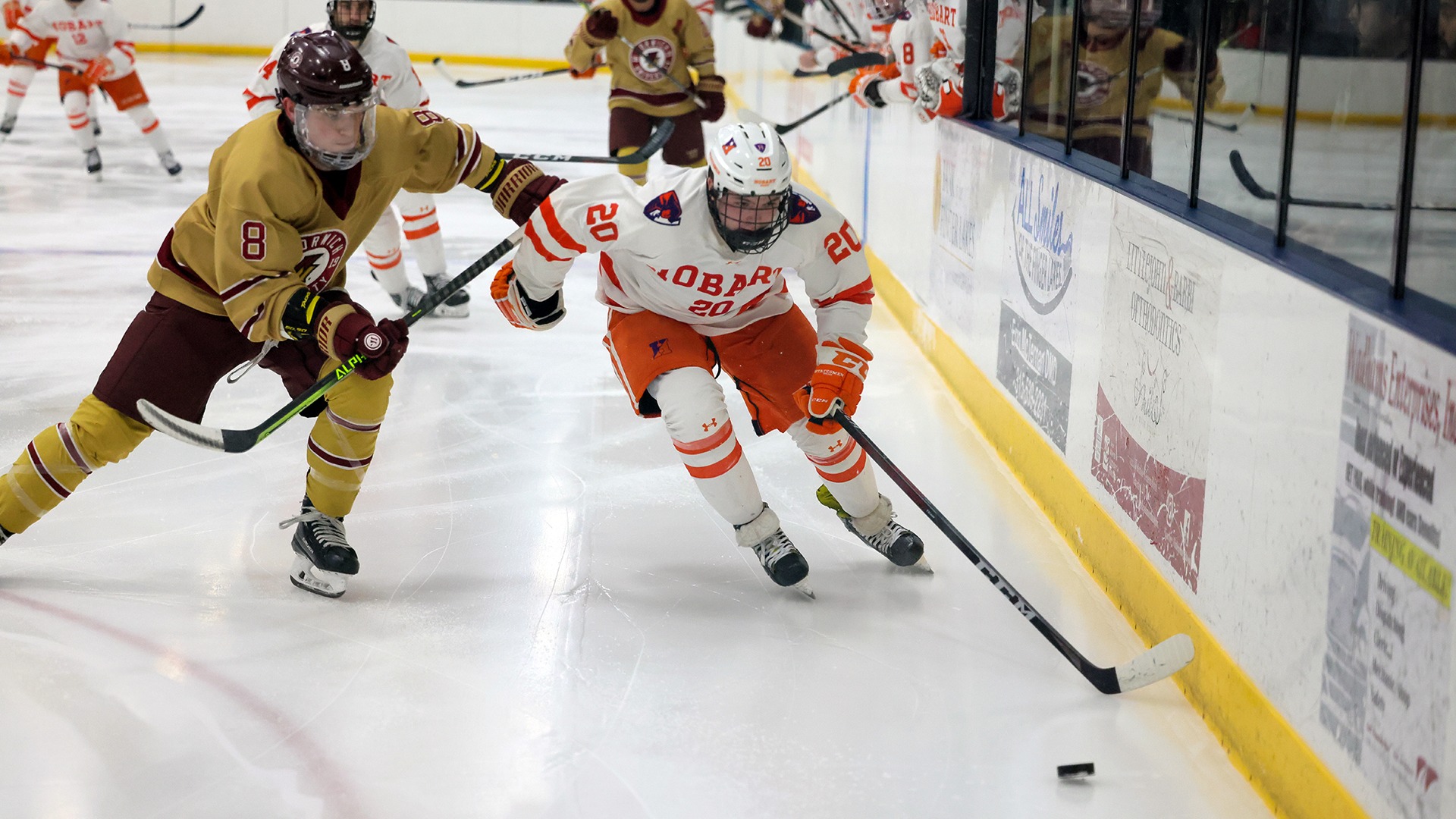 Shane Shell 202324 Hobart Ice Hockey Hobart and William Smith