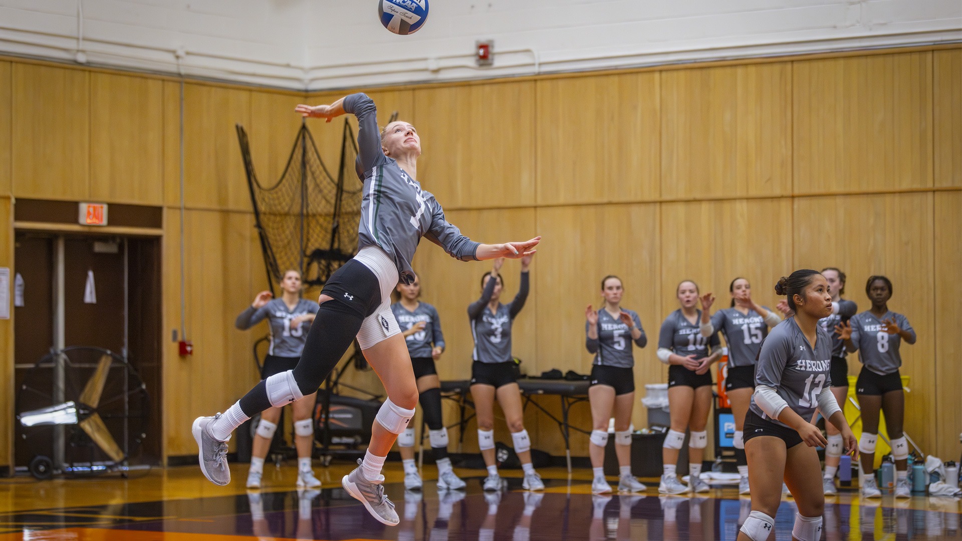 Elaina Wamhoff 2023 William Smith Volleyball Hobart and William