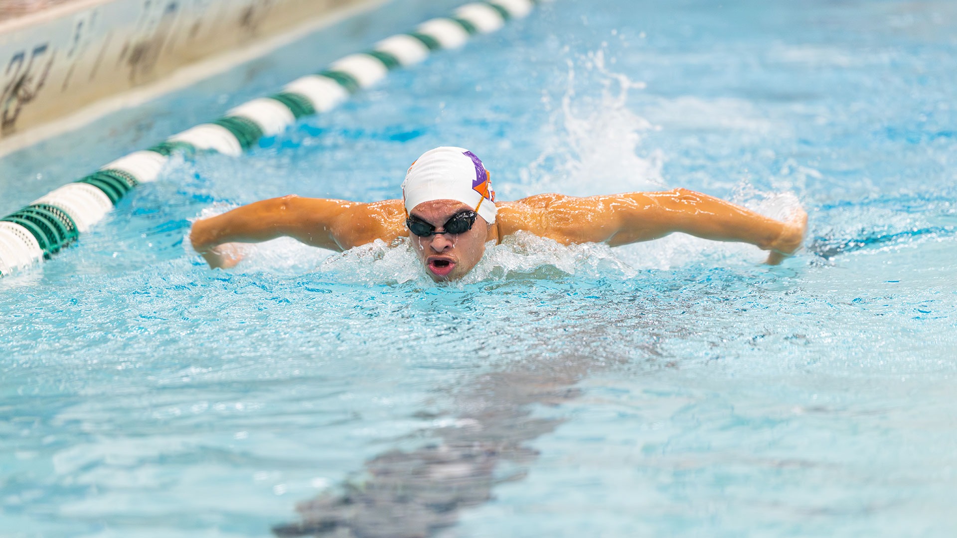 Christopher Woody against Alfred