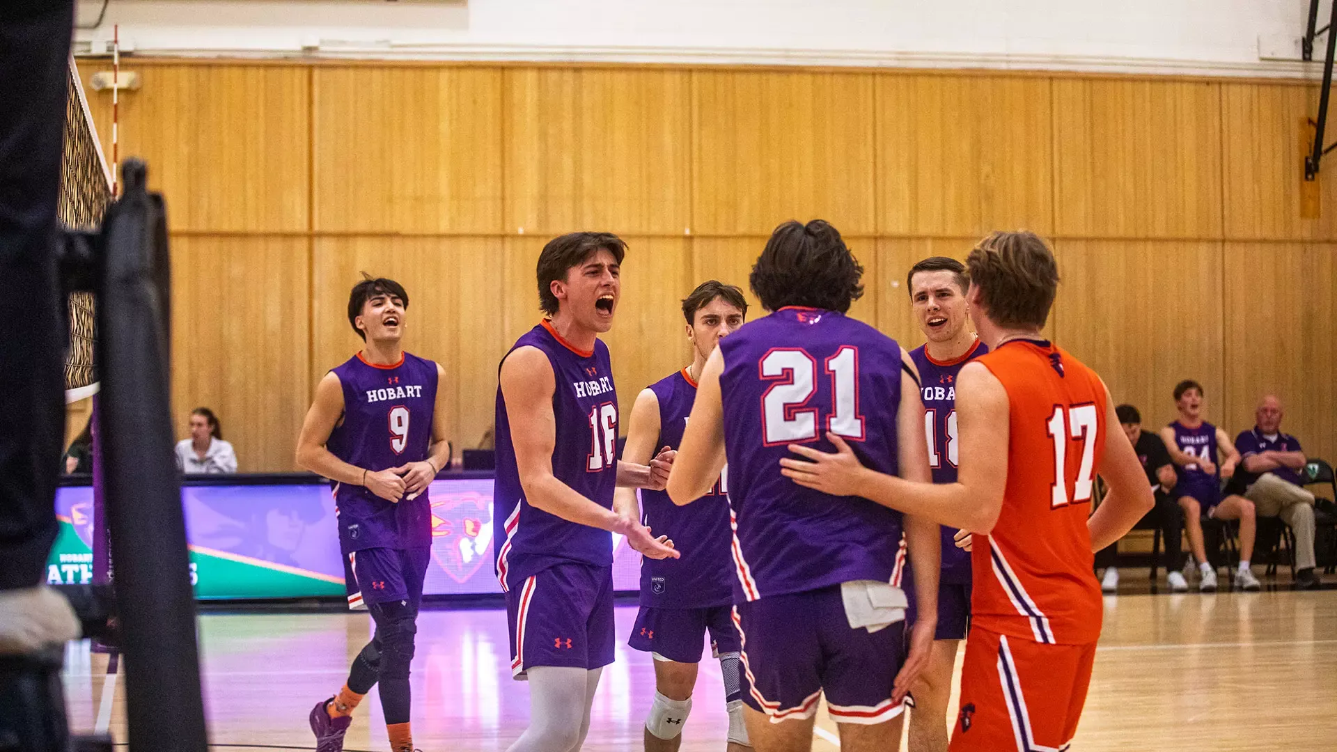 Hobart volleyball celebrates point