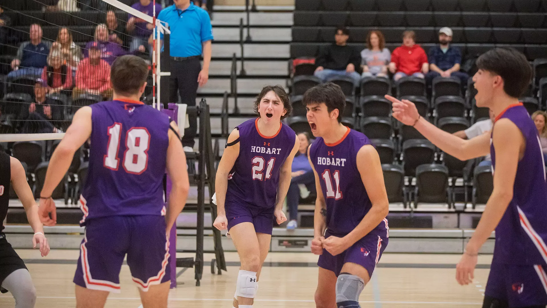 Hobart volleyball celebrates point