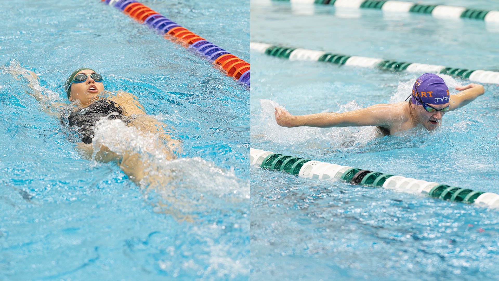 Swim and Dive Senior Day