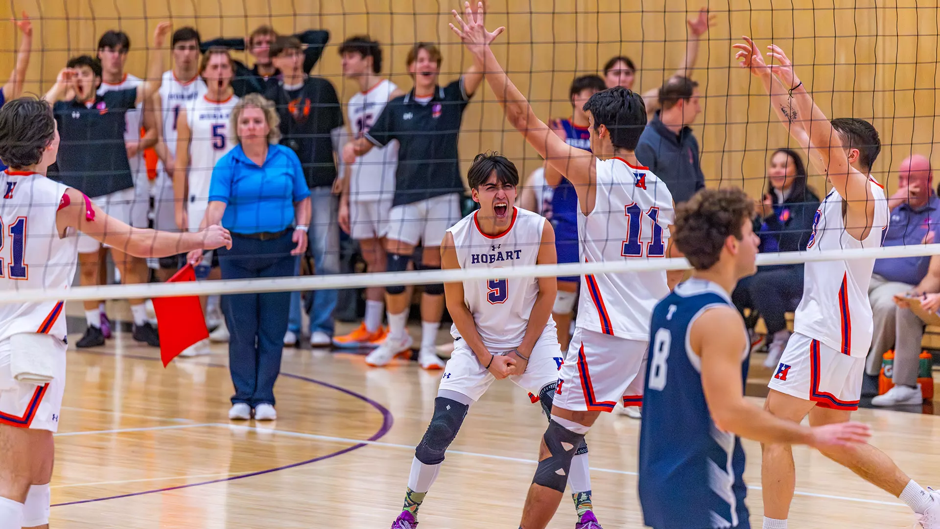 Daniel Sappia celebrating Alain Malcolm 