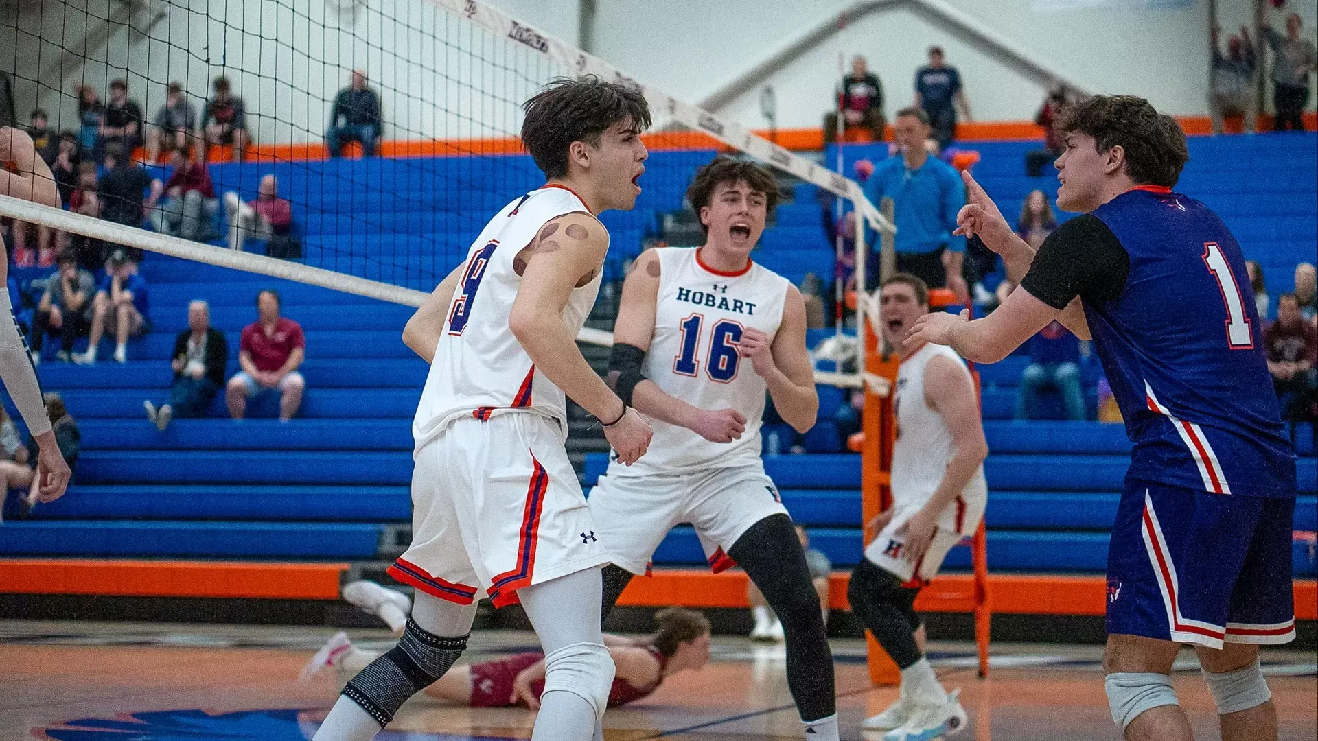 Daniel Sappia celebrates vs Vassar