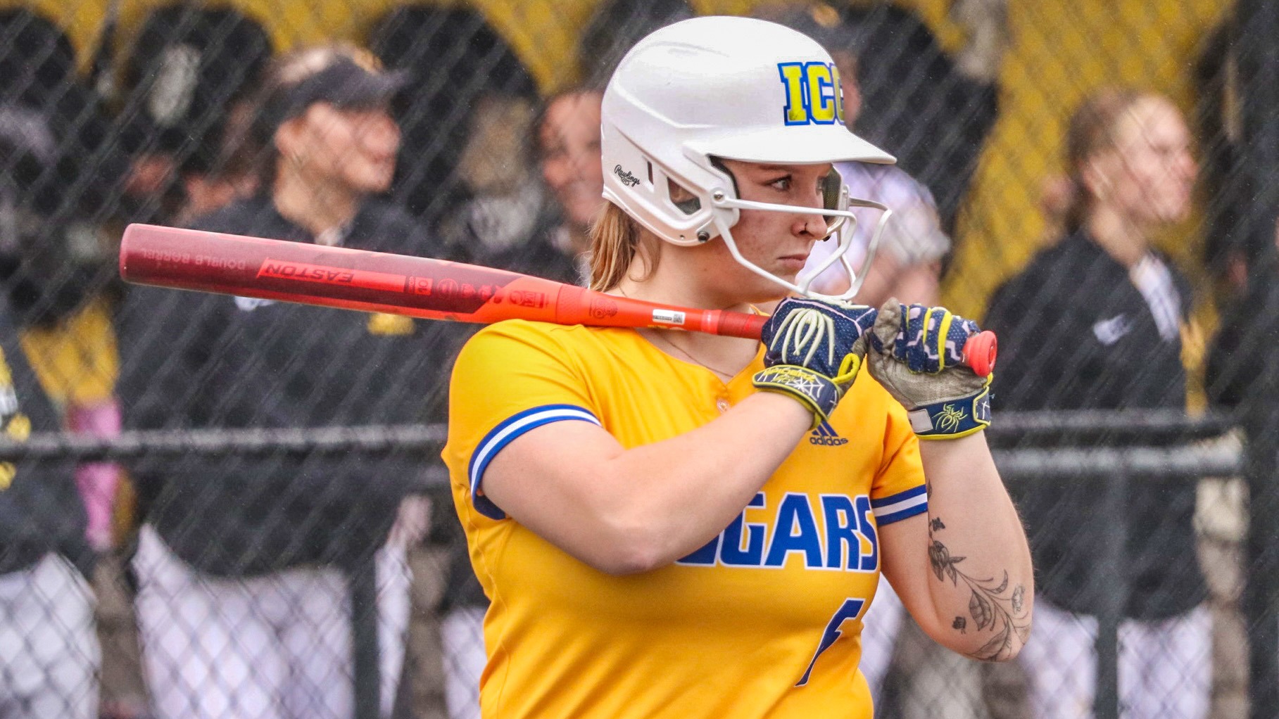 VerstraeteSB26ATBlackHawk