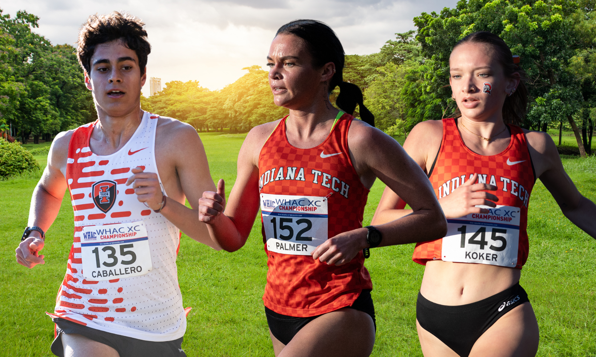 Caballero, Palmer, and Koker