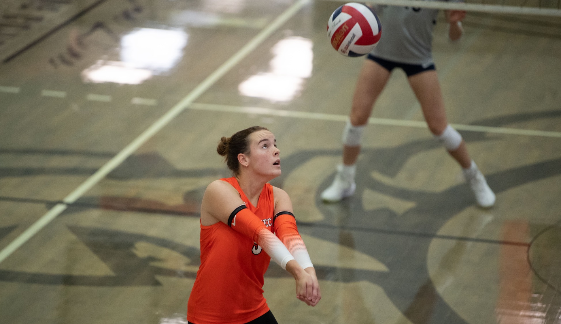 Emiline Wood vs Cornerstone