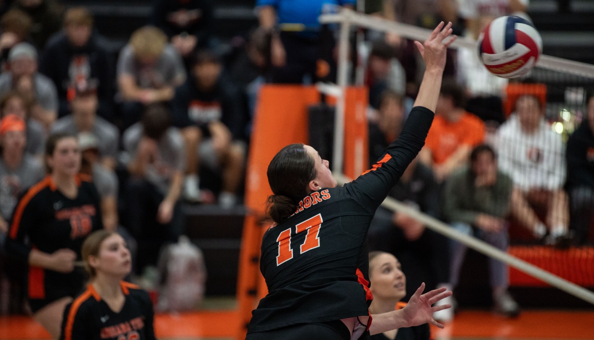 Jaycee Strawsma vs LTU