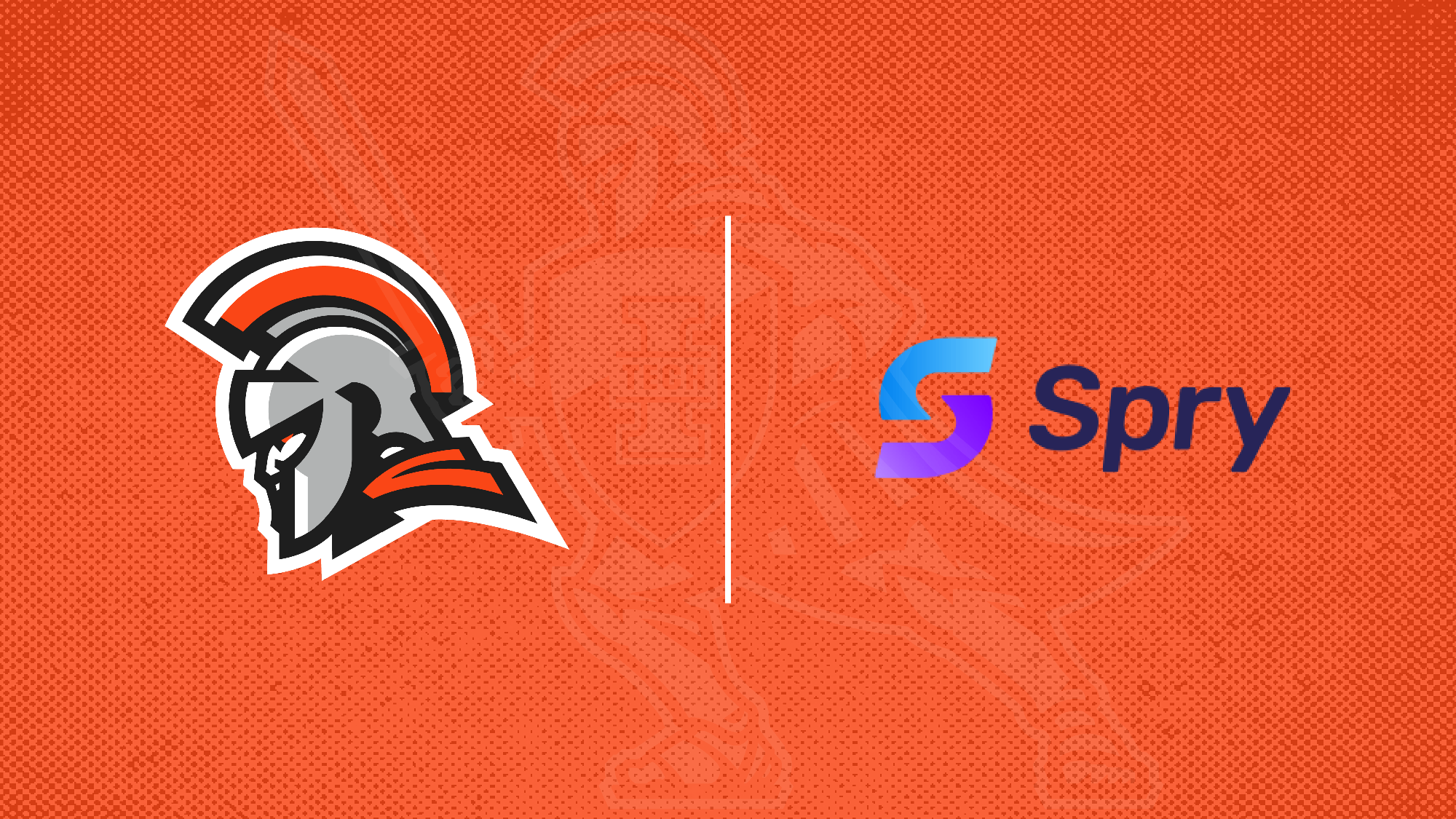 Spry Partnership
