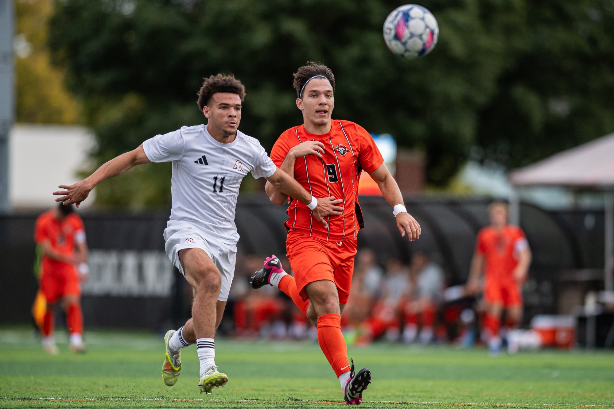 Filip Maksimovic vs Aquinas