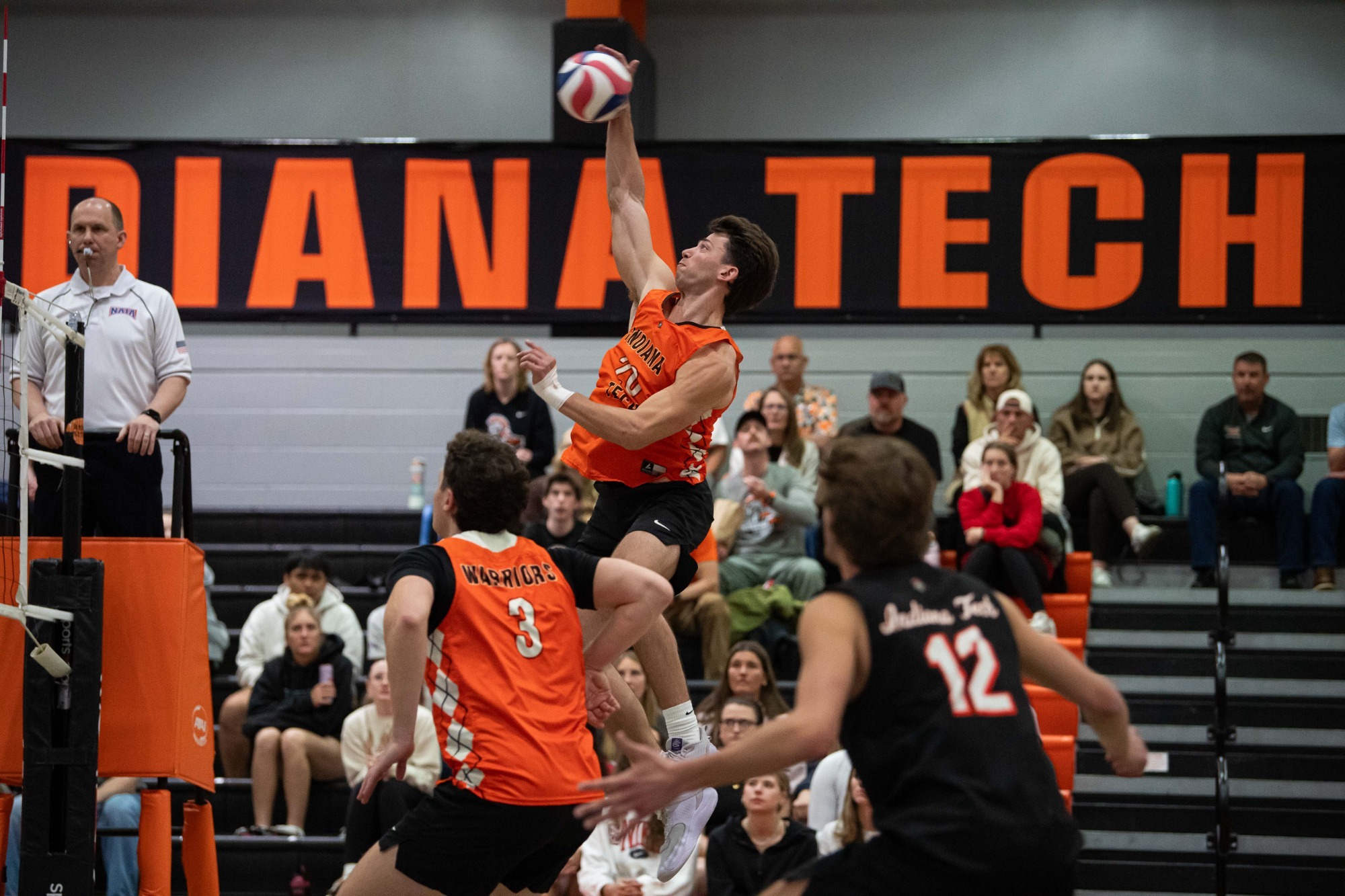 logan gieseke at net 