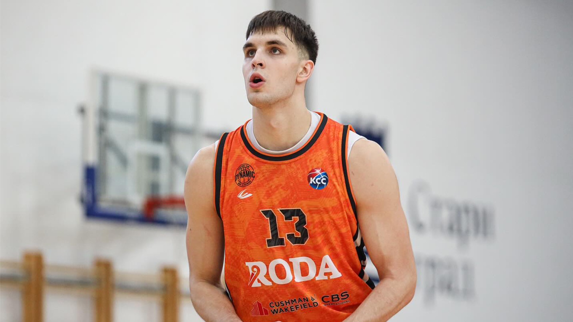 Aleksa Vlajic