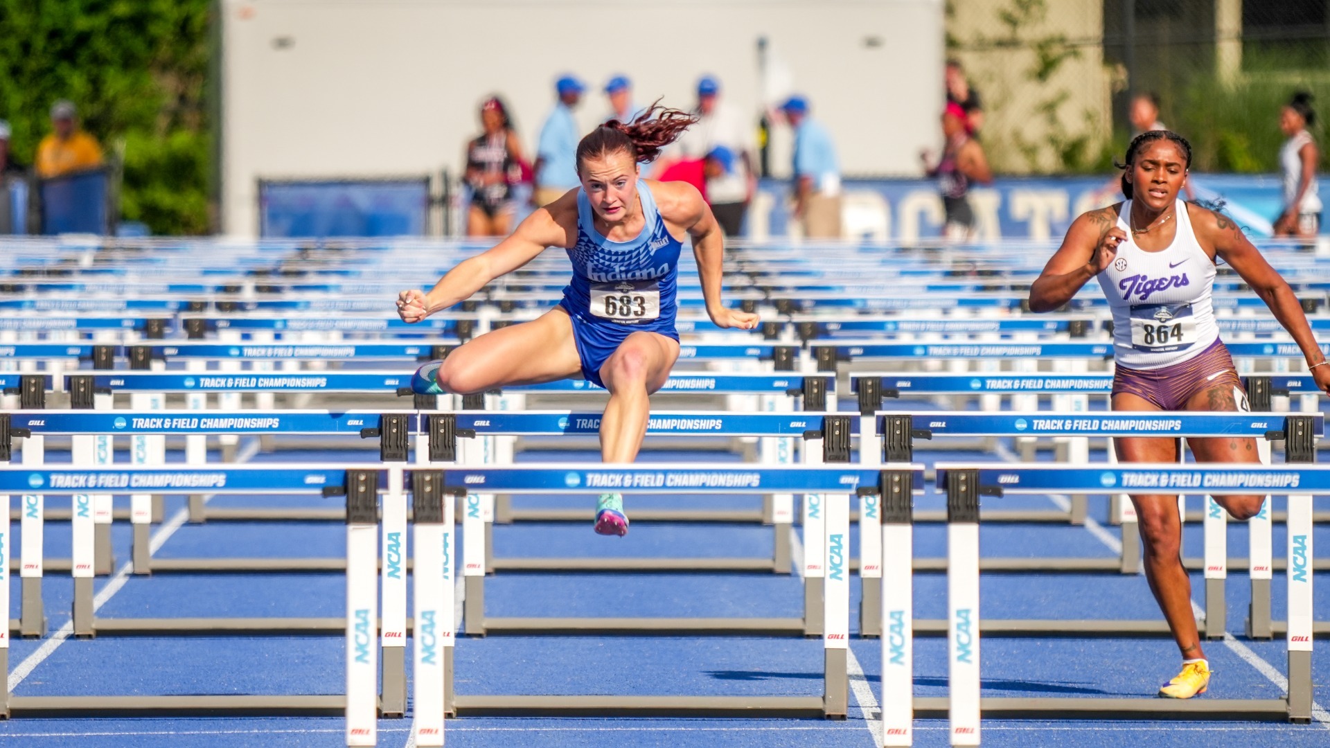 Rachel Mehringer