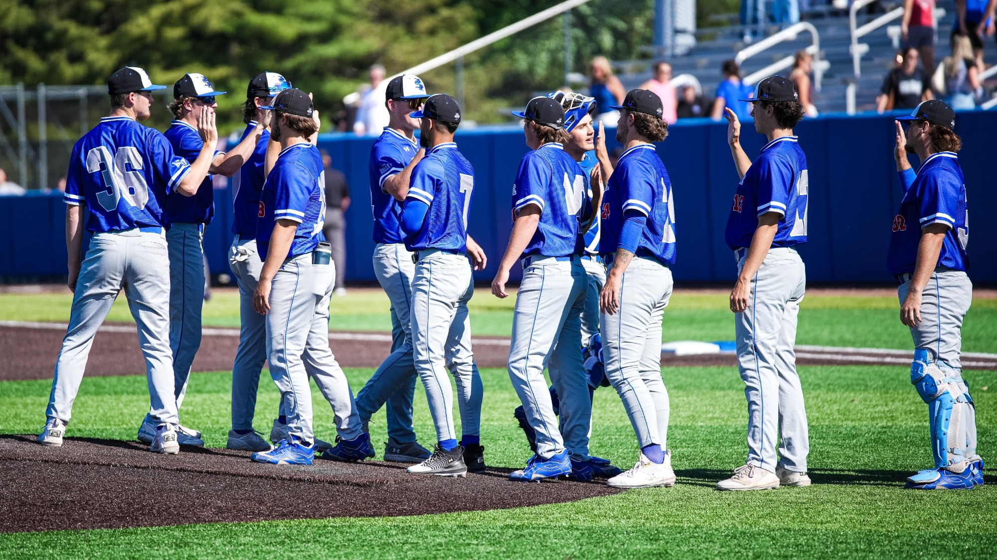Baseball Mound Hand Shake