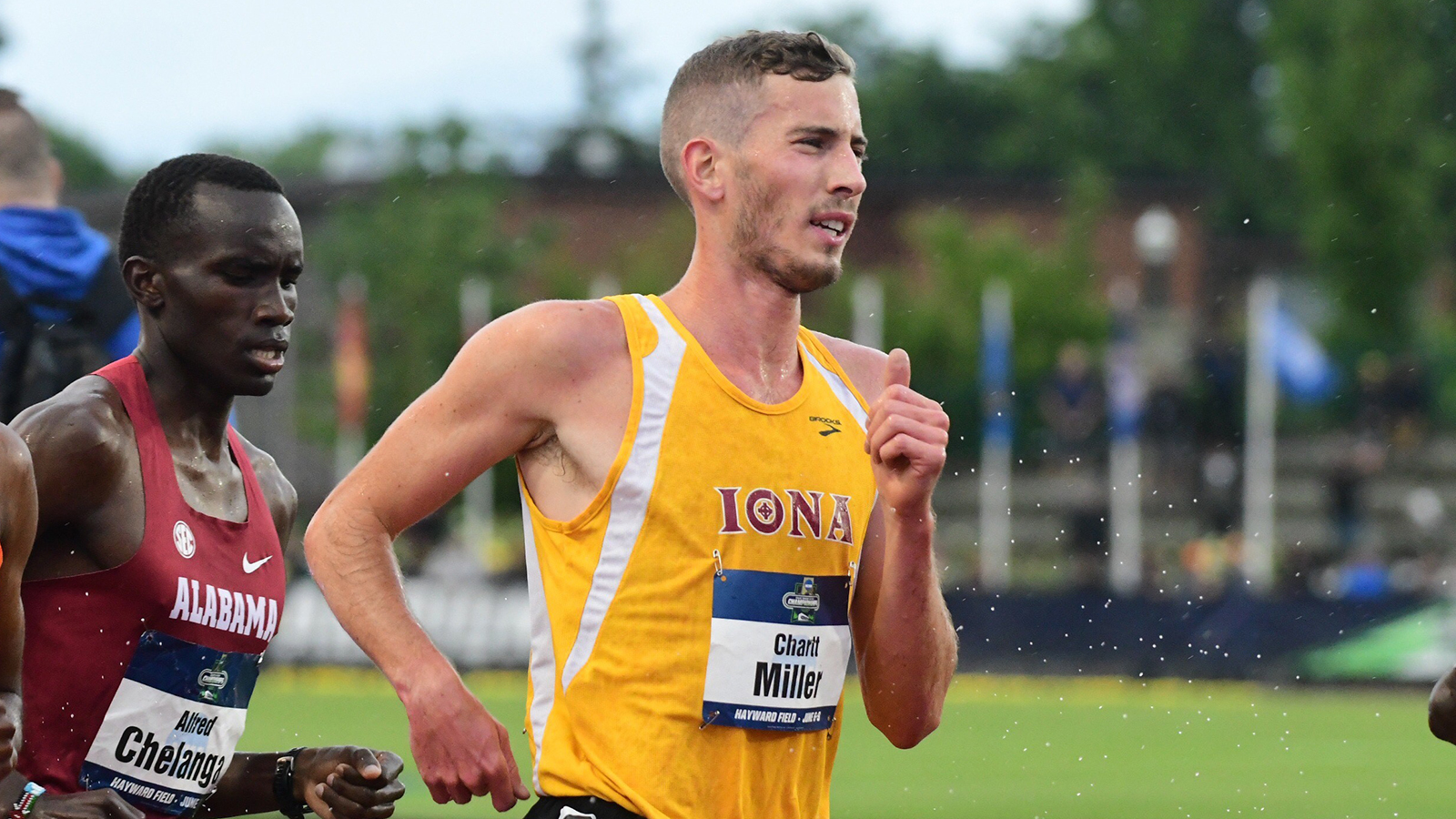 Chartt Miller Men's XC/Track & Field Iona University Athletics