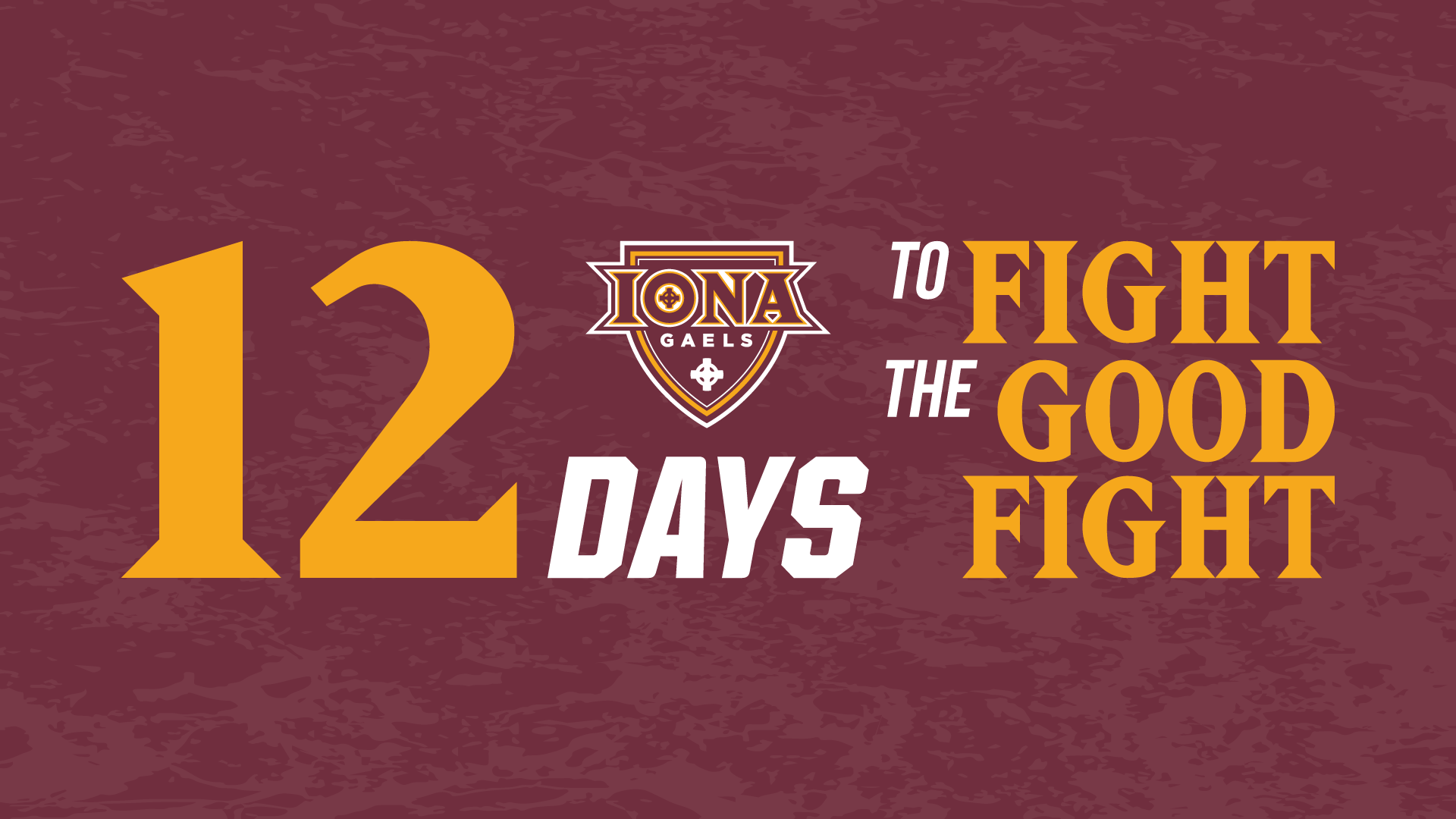 12 Days To Fight The Good Fight 2021