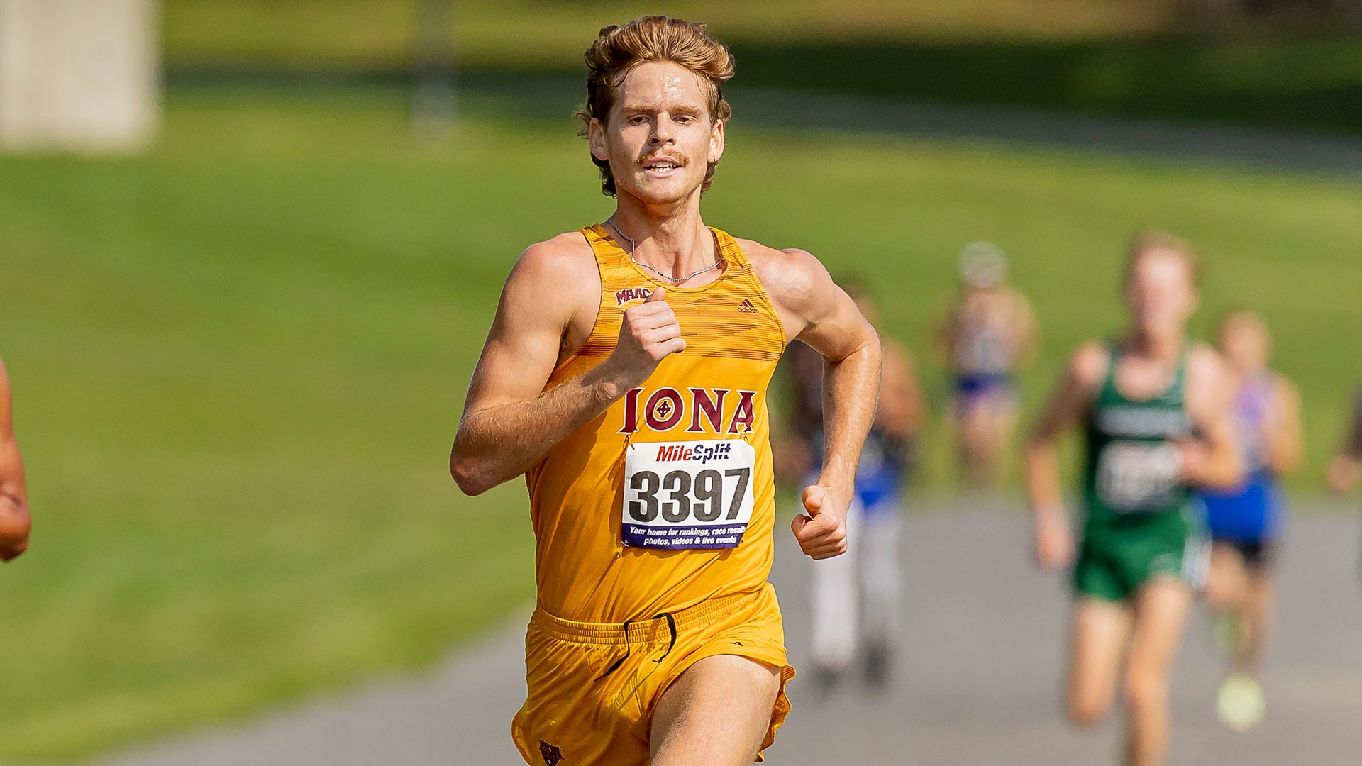 Campbell Lee Men's XC/Track & Field Iona University Athletics