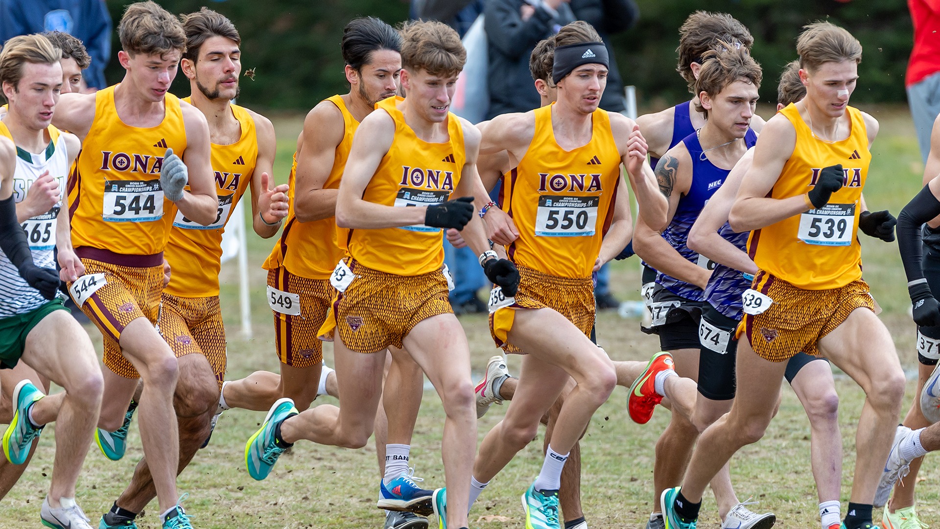 2025 NCAA Northeast Regionals