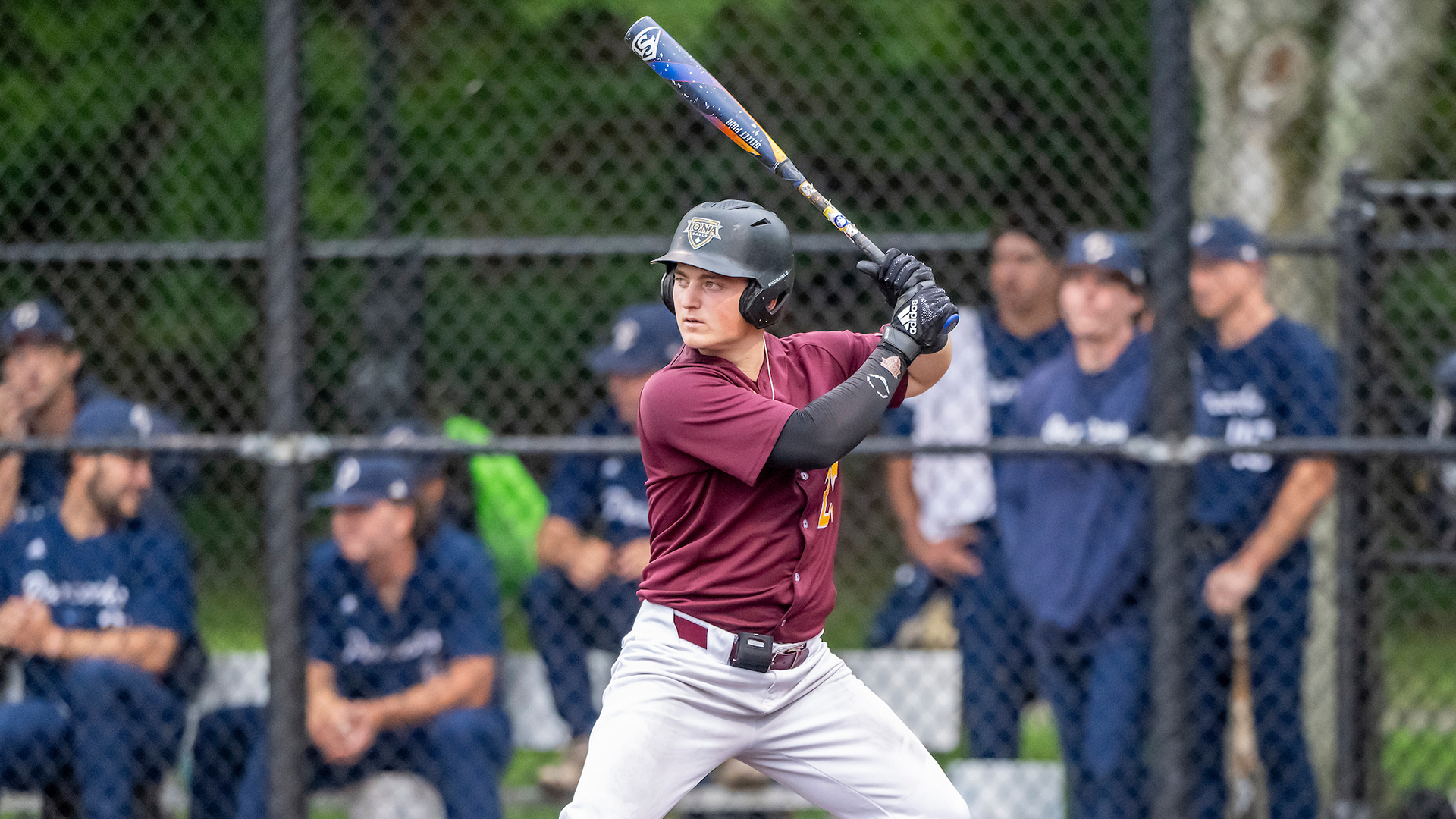 Sean Stephenson At Bat
