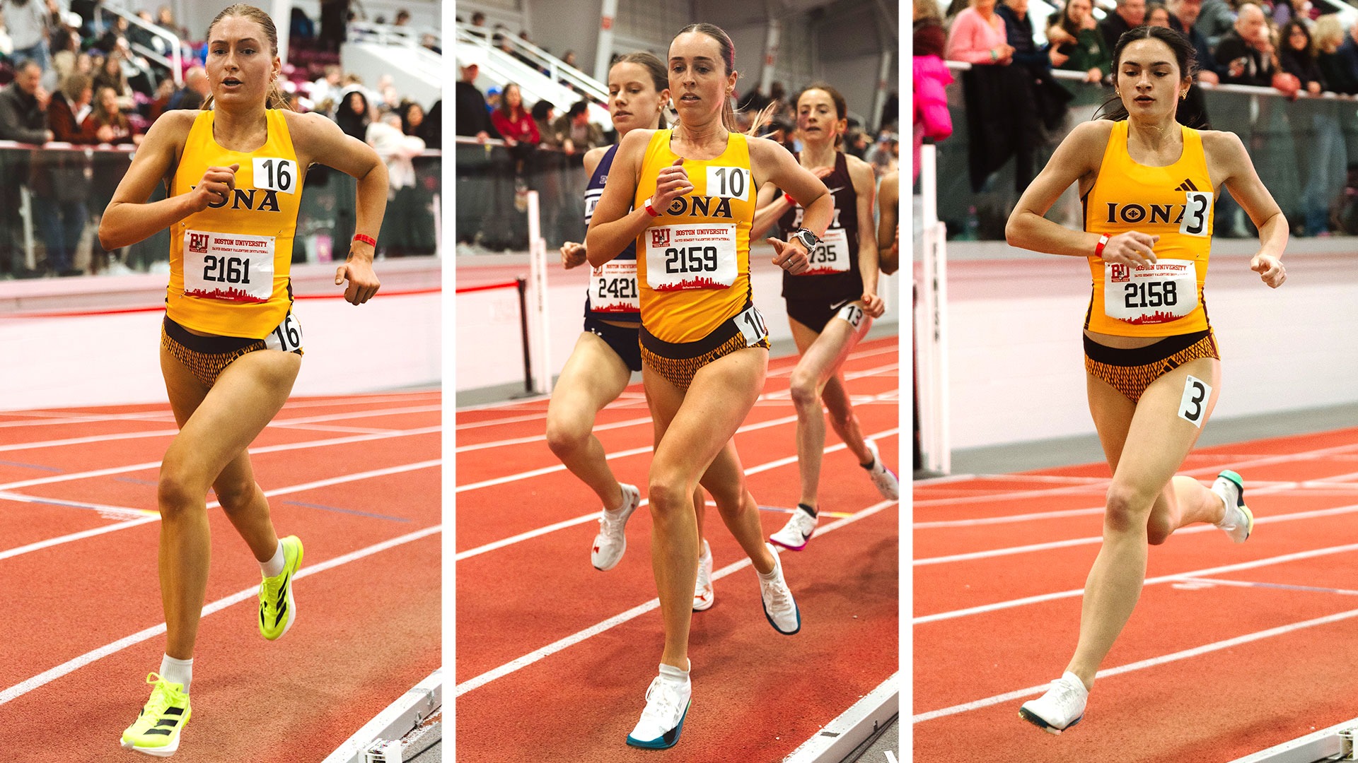 Alex Shultz, Tayla Gunton, Arabella Dickfos