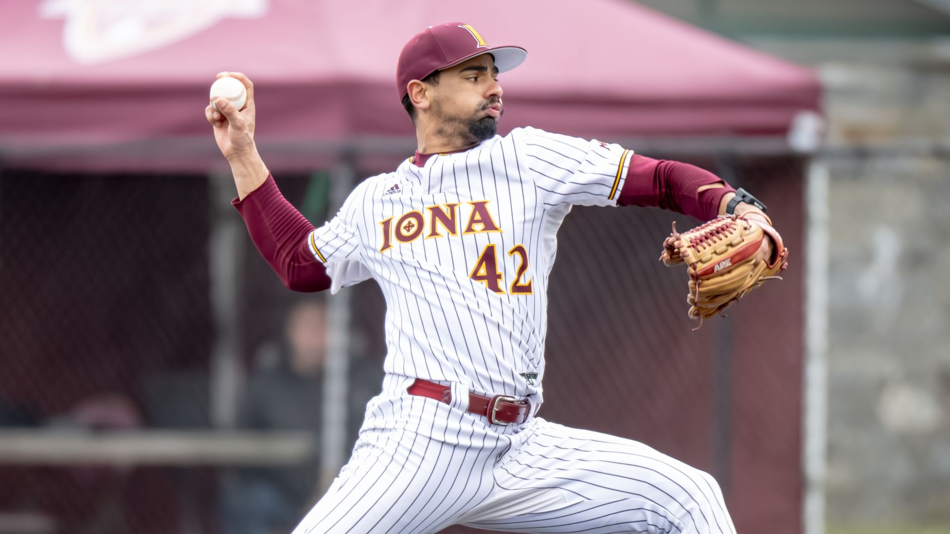 Andrelys Payamps 3.13