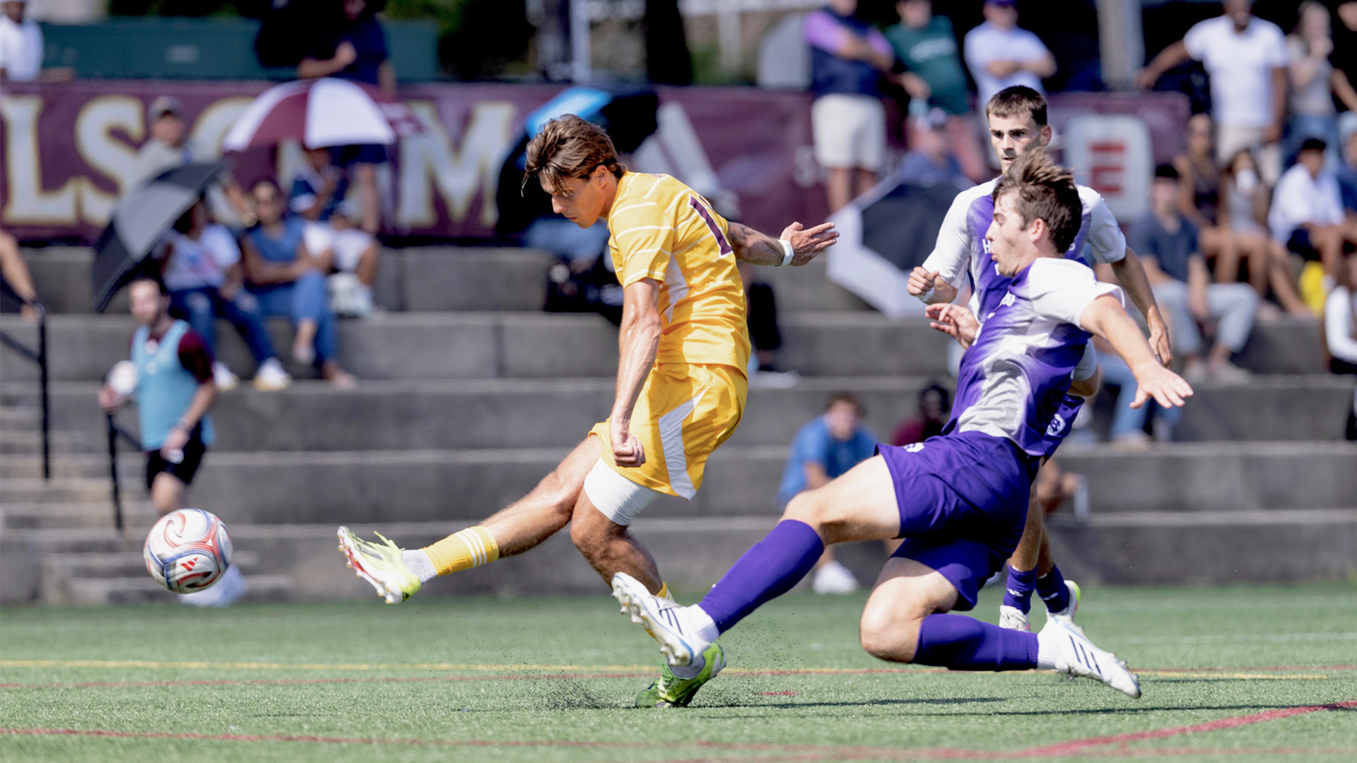 Francesco Borla vs. Holy Cross