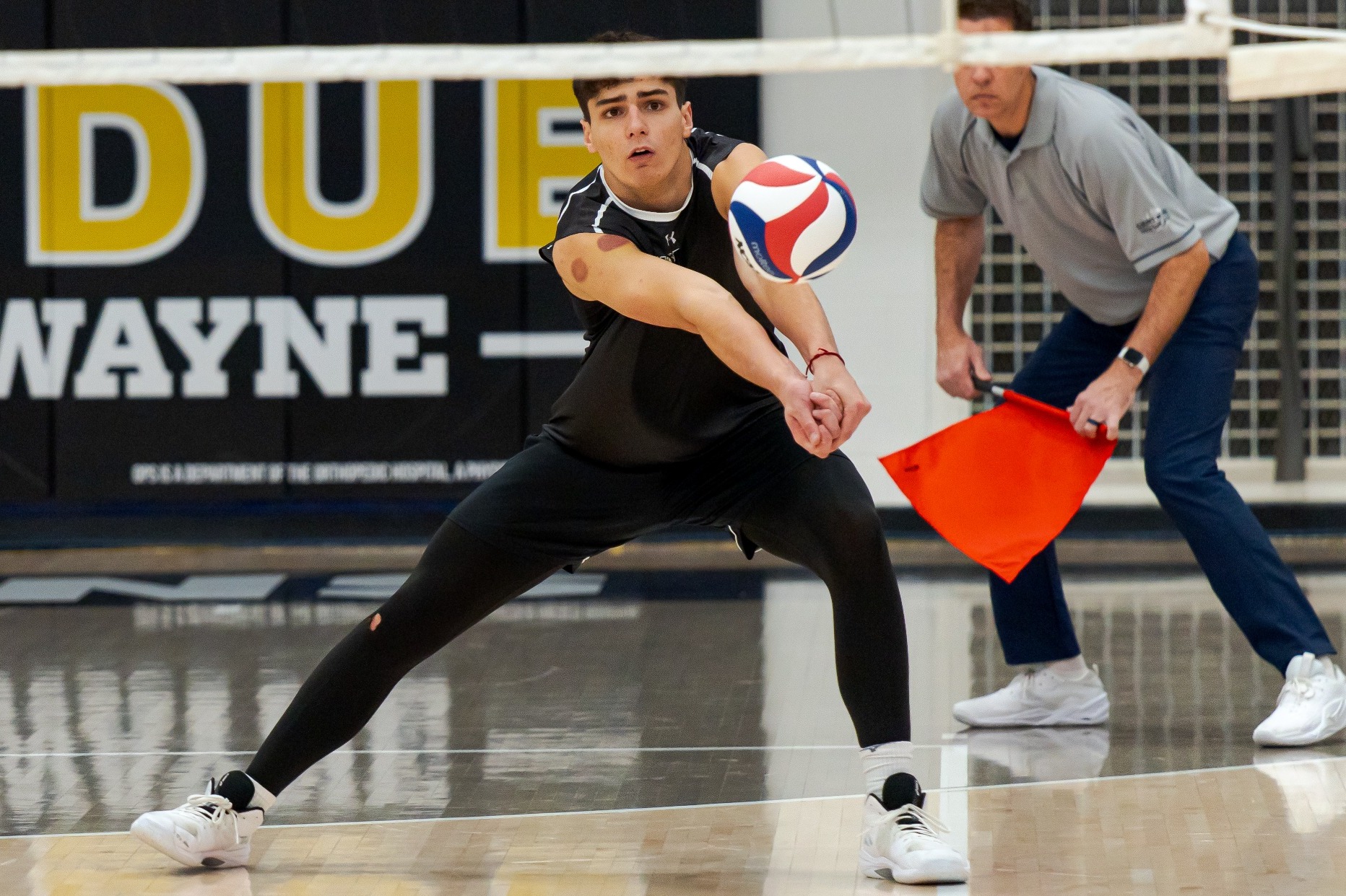 Vince Spadoni headshot