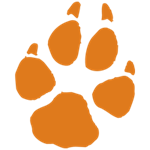 Opponent Logo