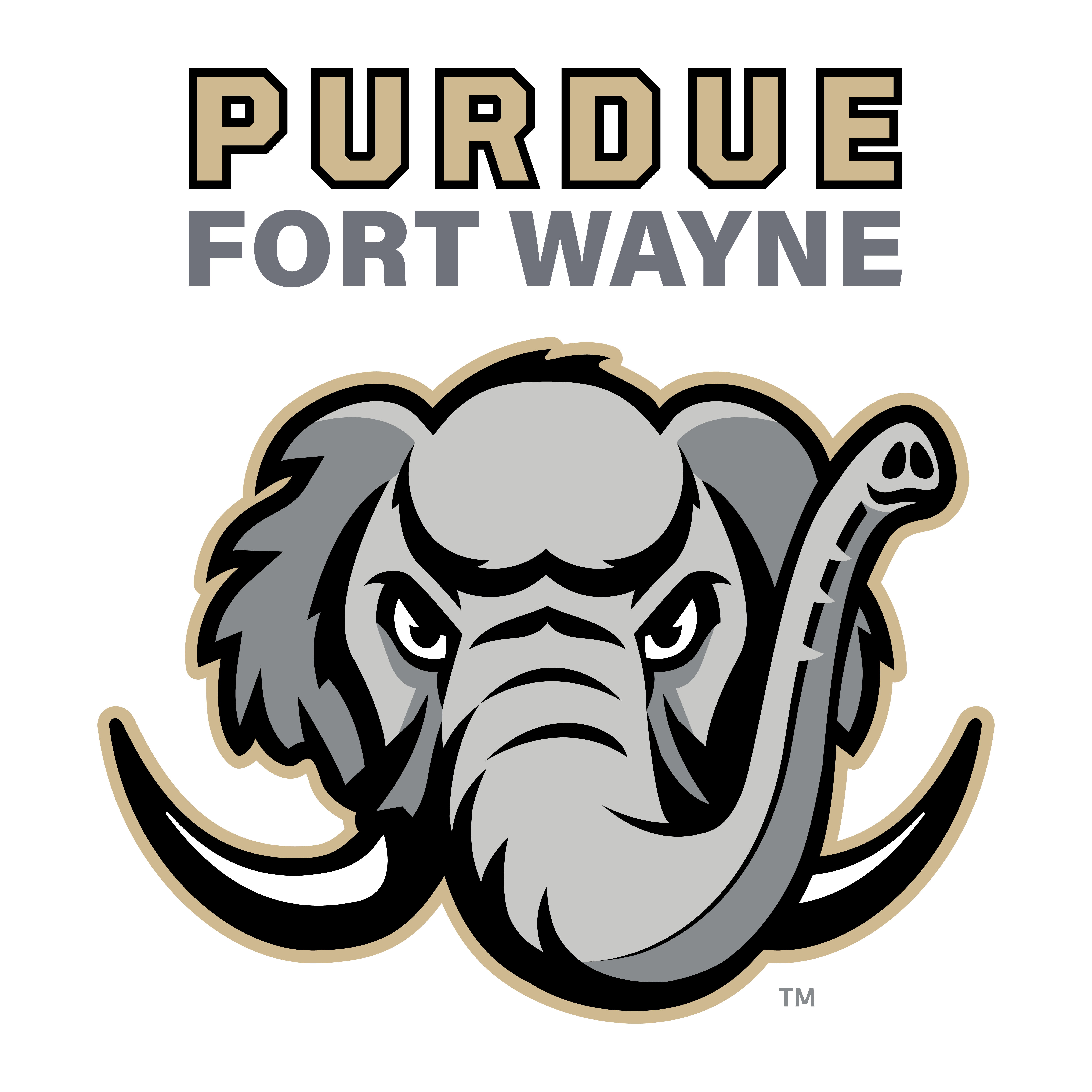 Team Logo