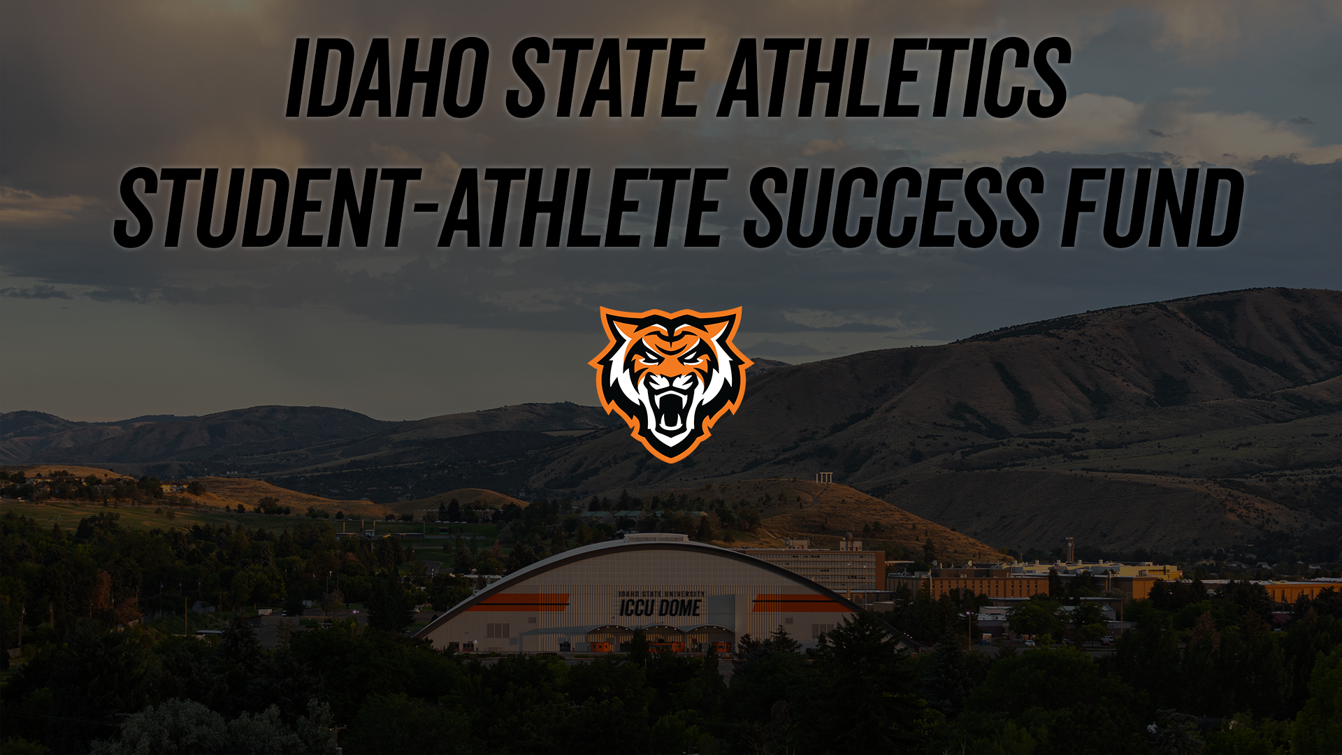 Student-Athlete Success Fund