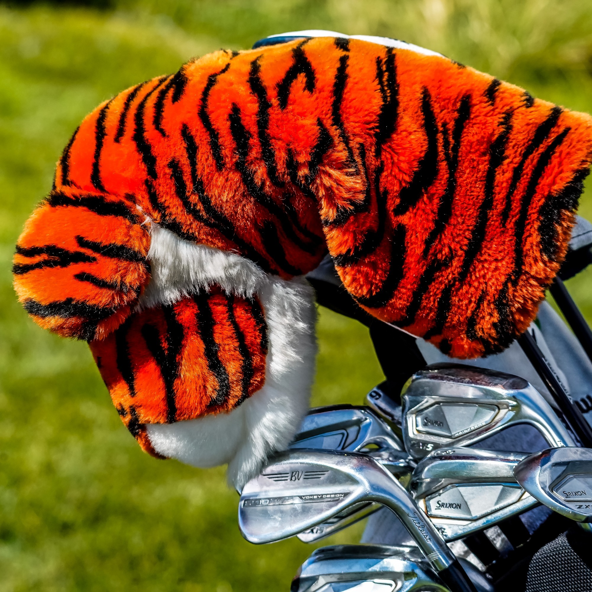 Bengal Head Cover