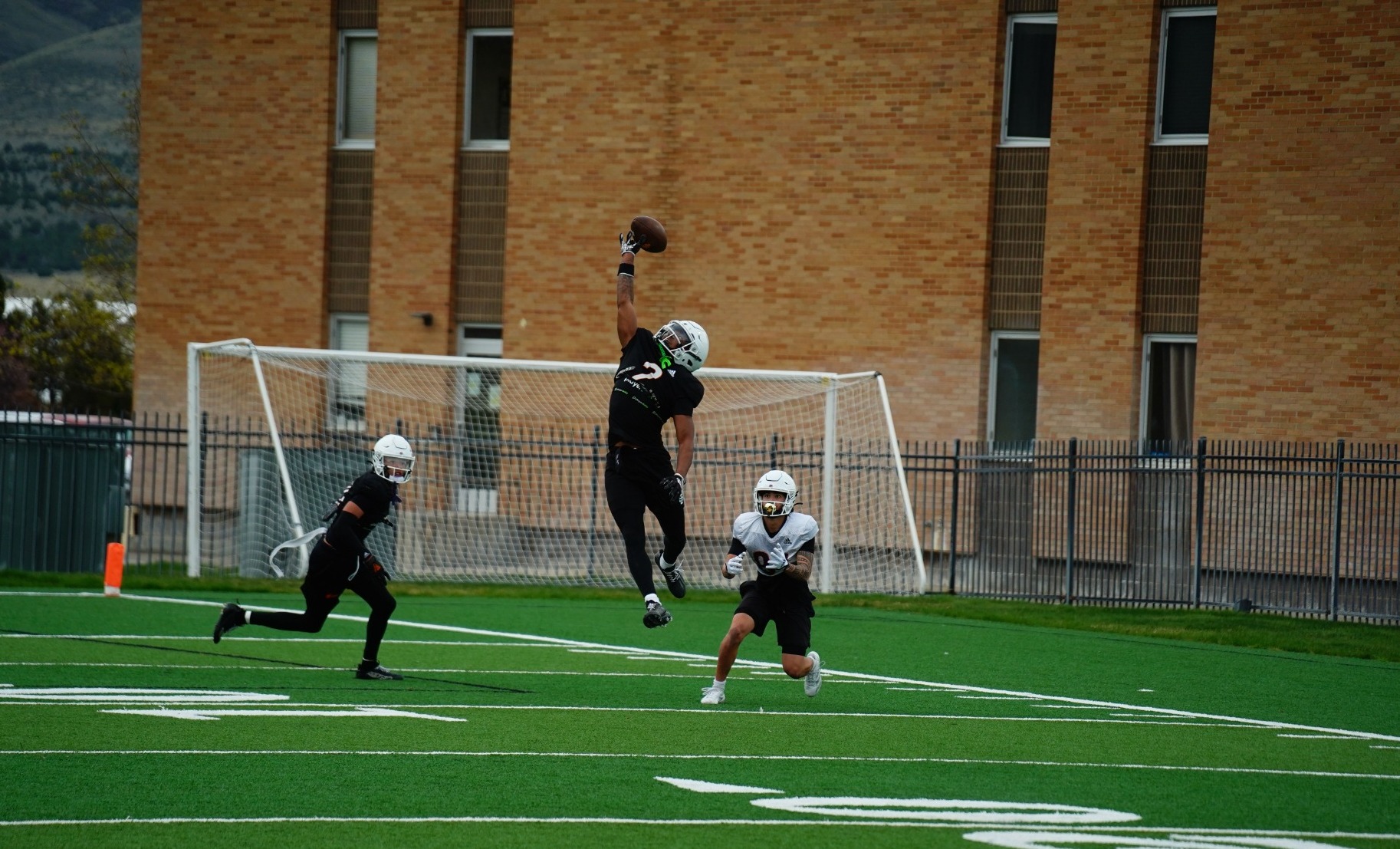 DB Leaping
